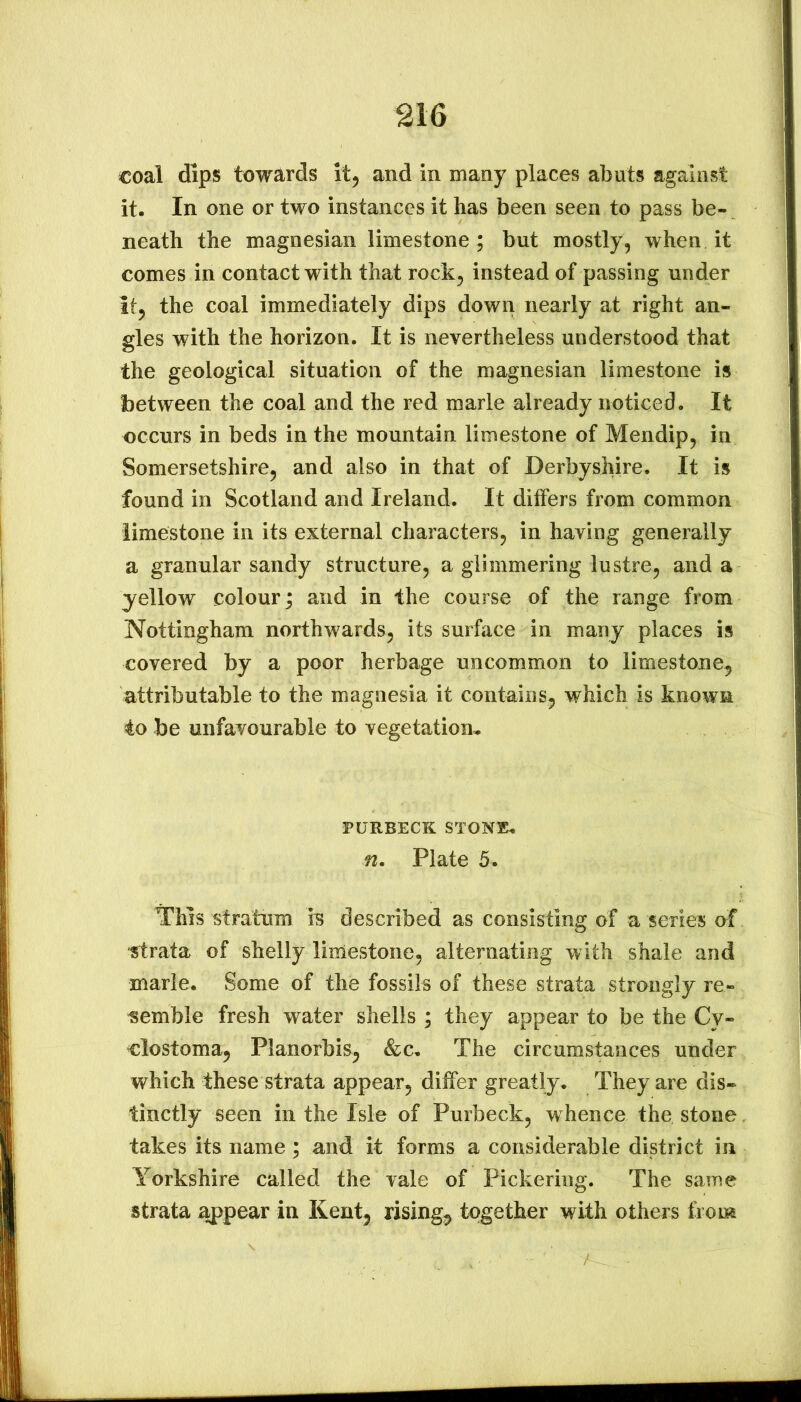 coal dips towards it^ and in many places abuts against it. In one or two instances it has been seen to pass be- neath the magnesian limestone ; but mostly, when it comes in contact with that rock, instead of passing under it, the coal immediately dips down nearly at right an- gles with the horizon. It is nevertheless understood that the geological situation of the magnesian limestone is between the coal and the red marie already noticed. It occurs in beds in the mountain limestone of Mendip, in Somersetshire, and also in that of Derbyshire. It is found in Scotland and Ireland. It differs from common limestone in its external characters, in having generally a granular sandy structure, a glimmering lustre, and a yellow colour; and in the course of the range from Nottingham northwards, its surface in many places is covered by a poor herbage uncommon to limestone, attributable to the magnesia it contains, which is known to be unfavourable to vegetation^ PURBECK STONE. n. Plate 5. This stratum is described as consisting of a series of strata of shelly limestone, alternating with shale and marie. Some of the fossils of these strata strongly re- semble fresh water shells ; they appear to be the Cy- clostoma, Planorbis, &c. The circumstances under which these strata appear, ditfer greatly. They are dis- tinctly seen in the Isle of Purbeck, w hence the stone. takes its name; and it forms a considerable district in Yorkshire called the vale of Pickering. The same strata ^pear in Kent, rising, together with others from