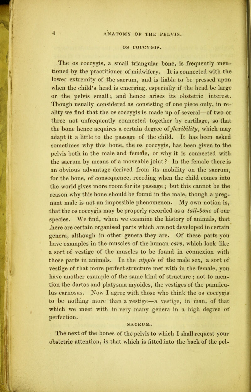 6S COCCYGIS. The os coccygis, a small triangular bone, is frequently men- tioned by the practitioner of midwifery. It is connected with the lower extremity of the sacrum, and is liable to be pressed upon when the child’s head is emerging, especially if the head be large or the pelvis small; and hence arises its obstetric interest. Though usually considered as consisting of one piece only, in re- ality we find that the os coccygis is made up of several—of two or three not unfrequently connected together by cartilage, so that the bone hence acquires a certain degree of flexibility, which may adapt it a little to the passage of the child. It has been asked sometimes why this bone, the os coccygis, has been given to the pelvis both in the male and female, or why it is connected with the sacrum by means of a moveable joint ? In the female there is an obvious advantage derived from its mobility on the sacrum, for the bone, of consequence, receding when the child comes into the world gives more room for its passage ; but this cannot be the reason why this bone should be found in the male, though a preg- nant male is not an impossible phenomenon. My own notion is, that the os coccygis may be properly recorded as a tail-bone of our species. We find, when we examine the history of animals, that .here are certain organised parts which are not developed in certain genera, although in other genera they are. Of these parts you have examples in the muscles of the human ears, which look like a sort of vestige of the muscles to be found in connexion with those parts in animals. In the nipple of the male sex, a sort of vestige of that more perfect structure met with in the female, you have another example of the same kind of structure ; not to men- tion the dartos and platysma myoides, the vestiges of the pannicu- lus carnosus. Now I agree with those wTho think the os coccygis to be nothing more than a vestige—a vestige, in man, of that which we meet with in very many genera in a high degree of perfection. SACRUM. The next of the bones of the pelvis to which I shall request your obstetric attention, is that which is fitted into the back of the pel-