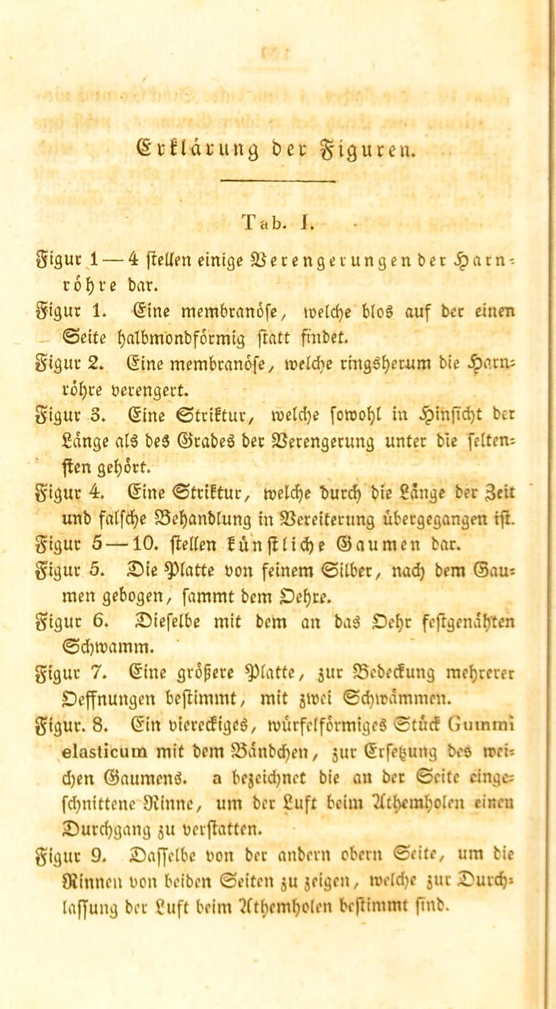 (§tfUdtung bet gigureu. Tab. I. gigur 1 — 4 {teilen einige Verengerungen bet Jparn-- cof)re bar. gigur 1. ©ine membranofe, toelcfye bloS auf bec einen Seite fyalbmonbformig ftatt ftnbet. gigur 2. ©ine membranofe, treidle ringsherum bie $«rru röf)te verengert. gigur 3. (Sine Stciftur, roeld)e fowofyl in .IpinfTdjt bet Sänge als be$ ©tabeS bec Verengerung unter bie feiten; ften gehört. gigur 4. (Sine Steiftue, welche burd) bie Sänge ber 3«it unb falfcfye Veljanblung in Vereiterung ubergegangen tft. gigur 5 —10. flelten funfllidje ©aumen bar. gigur 5. Sie glatte üon feinem Silber, nad) bem ©au; men gebogen, fammt bem £)el)te. gigur 6. Siefelbe mit bem an baS £)ef)r feftgenäfj'ten Sd)mamm. gigur 7. ©ine grofjere glatte, jur Vebecfung mehrerer SDcffnungen beflimmt, mit jtnet Sd)it>ämmcn. gigur. 8. ©in oicrccfigeS, würfelförmiges Stucf Gummi elasticum mit bem Vänbd)en, jur ©rfe^ung bes wei; djen ©aumenS. a bejcidjnet bie au ber Seite cingc; fdjnittenc Dünne, um ber Suft beim 2ftl>eml)olen eincu Surcfygang ju ucrflatten. gigur 9. Saffelbe non ber anbern obern Seite, um bie Winnen t>on beiben Seiten ju jeigen, roeldje jur Surd); laffung ber Suft beim ?fthcm()olen befiimmt ftnb.