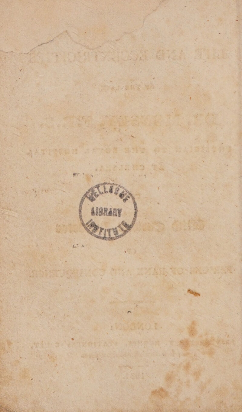 ’