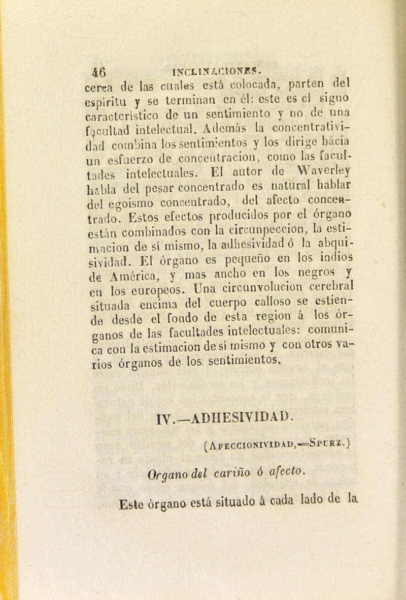 cérea de las cuales está colncadn, parten^ del espíritu y se tenninaa en él: este es el signo característico do un sentimiento y no de una f.jcultad intelectual. Además la concentrativi- dad combina los sentimientos y los dirige bácia un esfuerzo de concentración, como las facul- tades intelectuales. El autor do Wavcrley habla del pesar concentrado es natur-al hablar del cn-oismo concentrado, del afecto concea- trado! Estos efectos producidos por el órgano están combinados con la circunpeccion, la esti- mación de sí mismo, la adhesividad ó la abqui- sividad. El órgano es pequeño en los indios de América, y mas ancho en los negros y en los europeos- Una circunvolución cerebral situada encima del cuerpo calloso se estien- de desde el fondo de esta región á los or- éanos de las facultades intelectuales: comuni- ca con la estimación de si mismo y con otros va- tios órganos de los sentimientos. IV.—ADHESIVIDAD. (Afegcionividad,-=Spirz.) Organo del cariño ó afecto. Este órgano está situado á cada lado de la