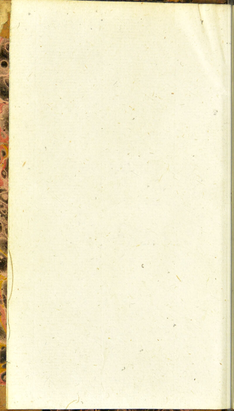 w. . i > _ ' ! . >< t - \ \