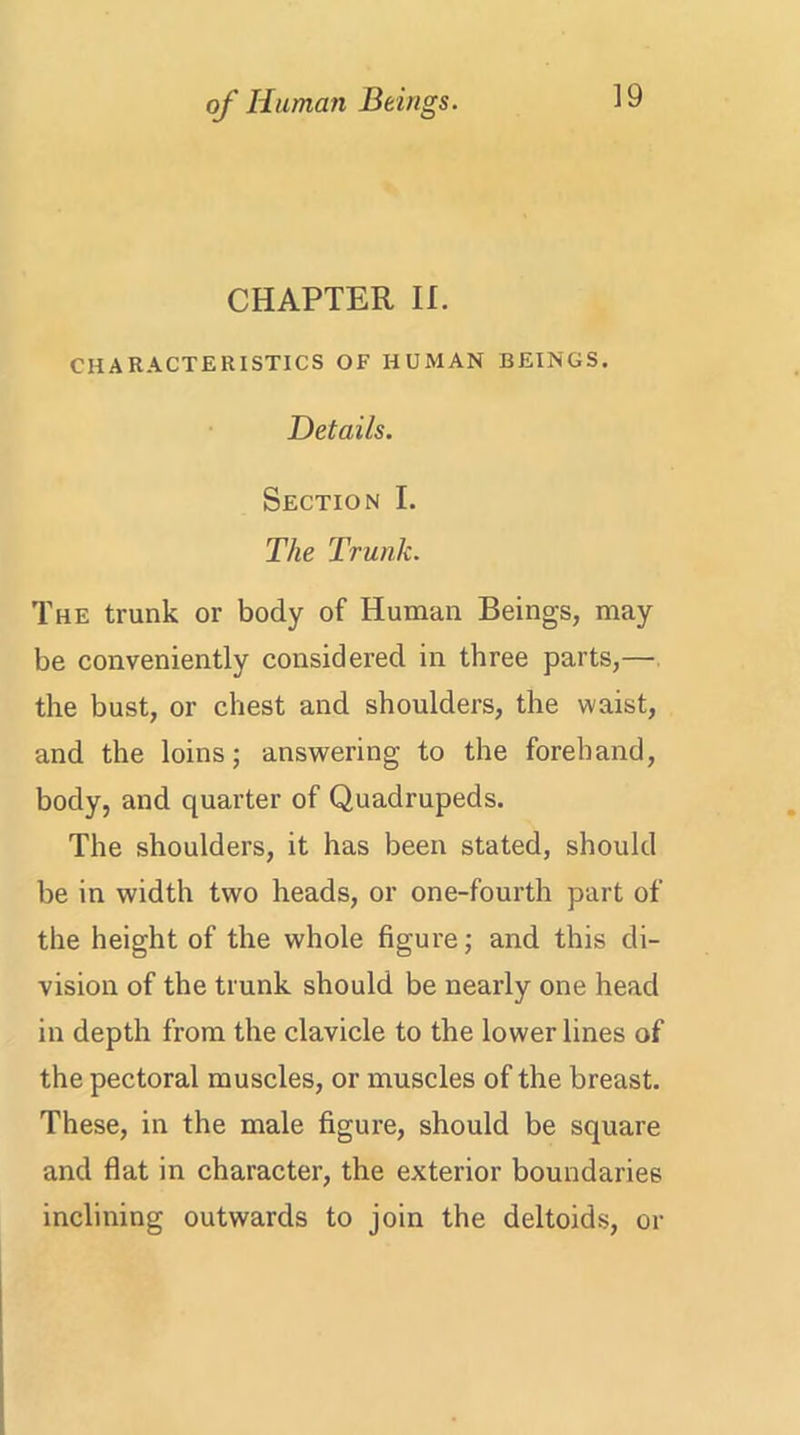 CHAPTER II. CHARACTERISTICS OF HUMAN BEINGS. Details. Section I. The Trunk. The trunk or body of Human Beings, may be conveniently considered in three parts,— the bust, or chest and shoulders, the waist, and the loins; answering to the forehand, body, and quarter of Quadrupeds. The shoulders, it has been stated, should be in width two heads, or one-fourth part of the height of the whole figure; and this di- vision of the trunk should be nearly one head in depth from the clavicle to the lower lines of the pectoral muscles, or muscles of the breast. These, in the male figure, should be square and flat in character, the exterior boundaries inclining outwards to join the deltoids, or