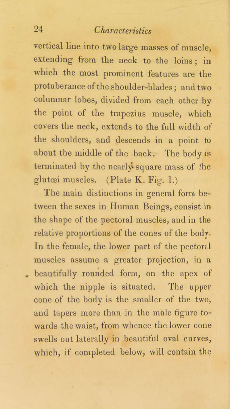 vertical line into two large masses of muscle, extending from the neck to the loins; in which the most prominent features are the protuberance of the shoulder-blades; and two columnar lobes, divided from each other by the point of the trapezius muscle, which covers the neck, extends to the full width of the shoulders, and descends in a point to about the middle of the back. The body is terminated by the nearly-square mass of the glutoei muscles. (Plate K. Fig. 1.) The main distinctions in general form be- tween the sexes in Human Being-s, consist in the shape of the pectoral muscles, and in the relative proportions of the cones of the body- In the female, the lower part of the pectoral muscles assume a greater projection, in a . beautifully rounded form, on the apex of which the nipple is situated. The upper cone of the body is the smaller of the two, and tapers more than in the male figure to- wards the waist, from whence the lower cone swells out laterally in beautiful oval curves, which, if completed below, will contain the