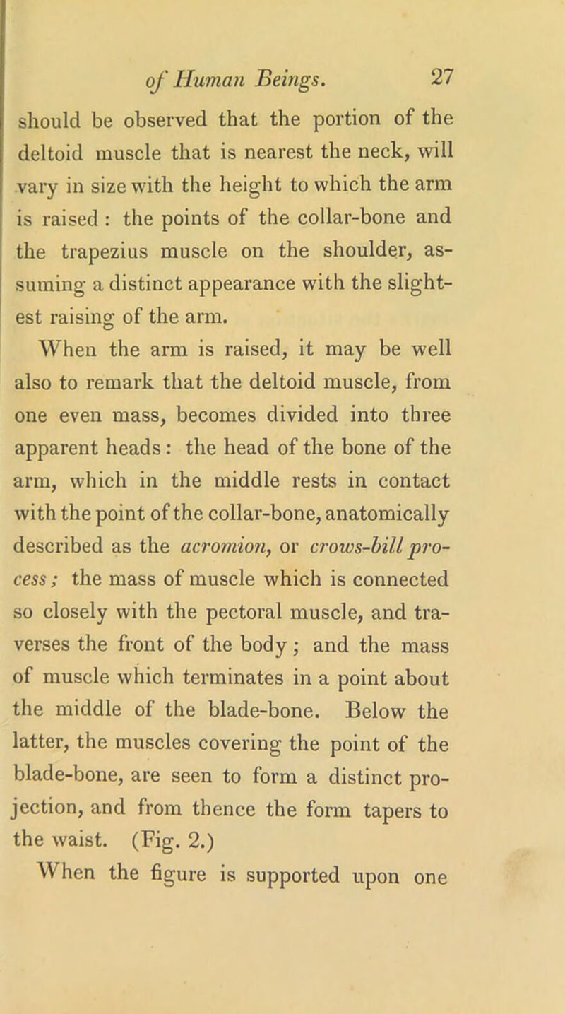 should be observed that the portion of the deltoid muscle that is nearest the neck, will vary in size with the height to which the arm is raised : the points of the collar-bone and the trapezius muscle on the shoulder, as- suming a distinct appearance with the slight- est raising of the arm. When the arm is raised, it may be well also to remark that the deltoid muscle, from one even mass, becomes divided into three apparent heads: the head of the bone of the arm, which in the middle rests in contact with the point of the collar-bone, anatomically described as the acromion, or crows-bill pro- cess ; the mass of muscle which is connected so closely with the pectoral muscle, and tra- verses the front of the body; and the mass of muscle which terminates in a point about the middle of the blade-bone. Below the latter, the muscles covering the point of the blade-bone, are seen to form a distinct pro- jection, and from thence the form tapers to the waist. (Fig. 2.) When the figure is supported upon one