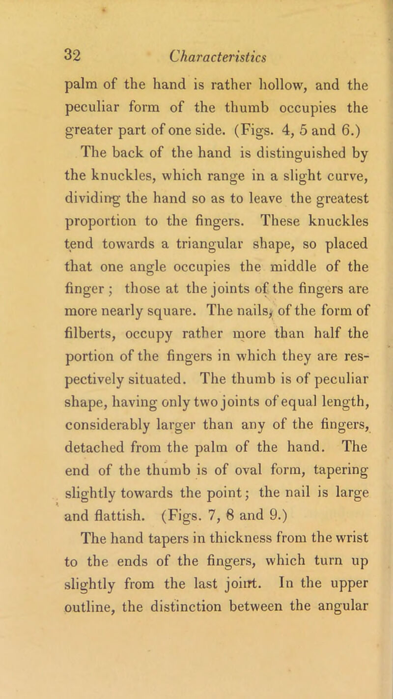 palm of the hand is rather hollow, and the peculiar form of the thumb occupies the greater part of one side. (Figs. 4, 5 and 6.) The back of the hand is distinguished by the knuckles, which range in a slight curve, dividing the hand so as to leave the greatest proportion to the fingers. These knuckles tend towards a triangular shape, so placed that one angle occupies the middle of the finger ; those at the joints of the fingers are more nearly square. The nails; of the form of filberts, occupy rather more than half the portion of the fingers in which they are res- pectively situated. The thumb is of peculiar shape, having only two joints of equal length, considerably larger than any of the fingers, detached from the palm of the hand. The end of the thumb is of oval form, tapering slightly towards the point; the nail is large and flattish. (Figs. 7, 8 and 9.) The hand tapers in thickness from the wrist to the ends of the fingers, which turn up slightly from the last joint. In the upper outline, the distinction between the angular