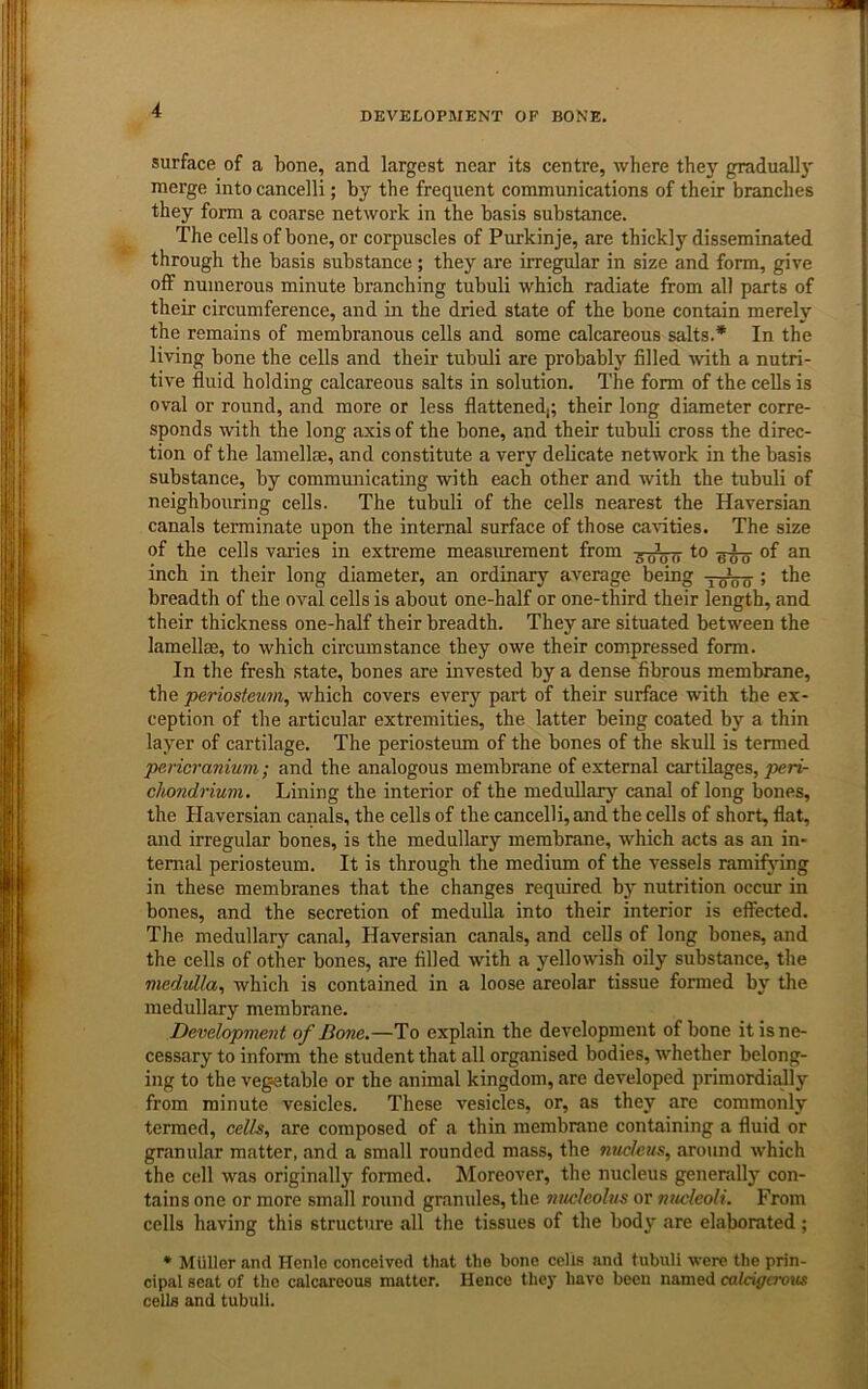 surface of a bone, and largest near its centre, where they gradual!)' merge into cancelli; by the frequent communications of their branches they form a coarse network in the basis substance. The cells of bone, or corpuscles of Purkinje, are thickly disseminated through the basis substance ; they are irregular in size and form, give oif numerous minute branching tubuli which radiate from all parts of their circumference, and in the dried state of the bone contain merely the remains of membranous cells and some calcareous salts.* In the living bone the cells and their tubuli are probably filled with a nutri- tive fluid holding calcareous salts in solution. The form of the cells is oval or round, and more or less flattened,; their long diameter corre- sponds with the long axis of the bone, and their tubuli cross the direc- tion of the lamellae, and constitute a very delicate network in the basis substance, by communicating with each other and with the tubuli of neighbouring cells. The tubuli of the cells nearest the Haversian canals terminate upon the internal surface of those cavities. The size of the cells varies in extreme measurement from to of an inch in their long diameter, an ordinary average being ; the breadth of the oval cells is about one-half or one-third their length, and their thickness one-half their breadth. They are situated between the lamellae, to which circumstance they owe their compressed form. In the fresh state, bones are invested by a dense fibrous membrane, the 'periosteum^ which covers every part of their surface with the ex- ception of the articular extremities, the latter being coated by a thin layer of cartilage. The periosteum of the bones of the skull is termed pericranium; and the analogous membrane of external cartilages, peri- chondrium, Lining the interior of the medullary canal of long bones, the Haversian canals, the cells of the cancelli, and the cells of short, flat, and irregular bones, is the medullary membrane, which acts as an in- ternal periosteum. It is through the medium of the vessels ramifying in these membranes that the changes required by nutrition occur in bones, and the secretion of medulla into their interior is effected. The medullary canal, Haversian canals, and cells of long bones, and the cells of other bones, are filled with a yellowish oily substance, the medulla,, which is contained in a loose areolar tissue formed by the medullary membrane. Development of Bone.—To explain the development of bone it is ne- cessary to inform the student that all organised bodies, whether belong- ing to the vegetable or the animal kingdom, are developed primordially from minute vesicles. These vesicles, or, as they are commonly termed, cells, are composed of a thin membrane containing a fluid or granular matter, and a small rounded mass, the nucleus, around which the cell was originally formed. Moreover, the nucleus generally con- tains one or more small round granules, the nmleolus or mwleoli. From cells having this structure all the tissues of the body are elaborated ; • Muller and Hcnlo conceived that the bone cells and tubuli were the prin- cipal seat of the calcareous matter. Hence they have been named cakigerous cells and tubuli.
