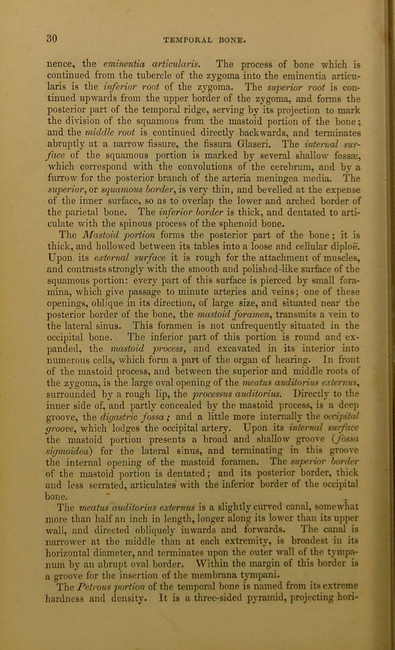 nence, the eminentia articularis. The process of bone which is continued from the tubercle of the zygoma into the eminentia articu- laris is the inferior root of the zygoma. The superior root is con- tinued upwards from the upper border of the zygoma, and forms the posterior part of the temporal ridge, serving by its projection to mark the division of the squamous from the mastoid portion of the bone; and the middle root is continued directly backwards, and terminates abruptly at a narrow fissure, the fissura Glaseri. The irderriol sur- faee of the squamous portion is marked by several shallow fossm, which con’espond with the convolutions of the cerebrum, and by a furrow for the posterior branch of the arteria meningea media. The superior, or squamous border, is very thin, and bevelled at the expense of the inner surface, so as to overlap the lower and arched border of the parietal bone. The inferior border is thick, and dentated to arti- culate with the spinous process of the sphenoid bone. The Mastoid portion iovms the posterior part of the bone; it is thick, and hollowed between its tables into a loose and cellular diploe. Upon its external surface it is rough for the attachment of muscles, and contrasts strongly with the smooth and polished-like surface of the squamous portion: every part of this surface is pierced by small fora- mina, which give passage to minute arteries and veins; one of these openings, oblique in its direction, of large size, and situated near the posterior border of the bone, the inastoid foramen, transmits a vein to the lateral sinus. This foramen is not unfrequently situated in the occipital bone. The inferior part of this portion is round and ex- panded, the mastoid process, and excavated in its interior into numerous cells, which form a part of the organ of hearing. In front of the mastoid process, and between the superior and middle roots of the z3'goma, is the large oval opening of the meatus auditorius eaternus, surrounded by a rough lip, the processus auditorius. Directh^ to the inner side of, and partly concealed by the mastoid process, is a deep groove, the digastric fossa; and a little more intemallj' the occipital groove, which lodges the occipital arterJ^ Upon its internal surface the mastoid portion presents a broad and shallow groove {J'ossa sigmoidea) for the lateral sinus, and terminating in this groove the internal opening of the mastoid foramen. The supei-ior border of the mastoid portion is dentated; and its posterior border, thick and less serrated, articulates with the inferior border of the occipital bone. The meatus auditorius extermis is a slightly''cimved canal, somewhat more than half an inch in length, longer along its lower than its upper wall, and directed obliquely inwards and forwards. The canal is nan-ower at the middle than at each extremity, is broadest in its horizontal diameter, and terminates upon the outer wall of the t3'mp.a- num by an abrupt oval border. Within the margin of this border is a groove for the insertion of the membrana tj-mpani. The Petrous portion of the temporal bone is named from its extreme hardness and density. It is a three-sided pyramid, projecting hori-