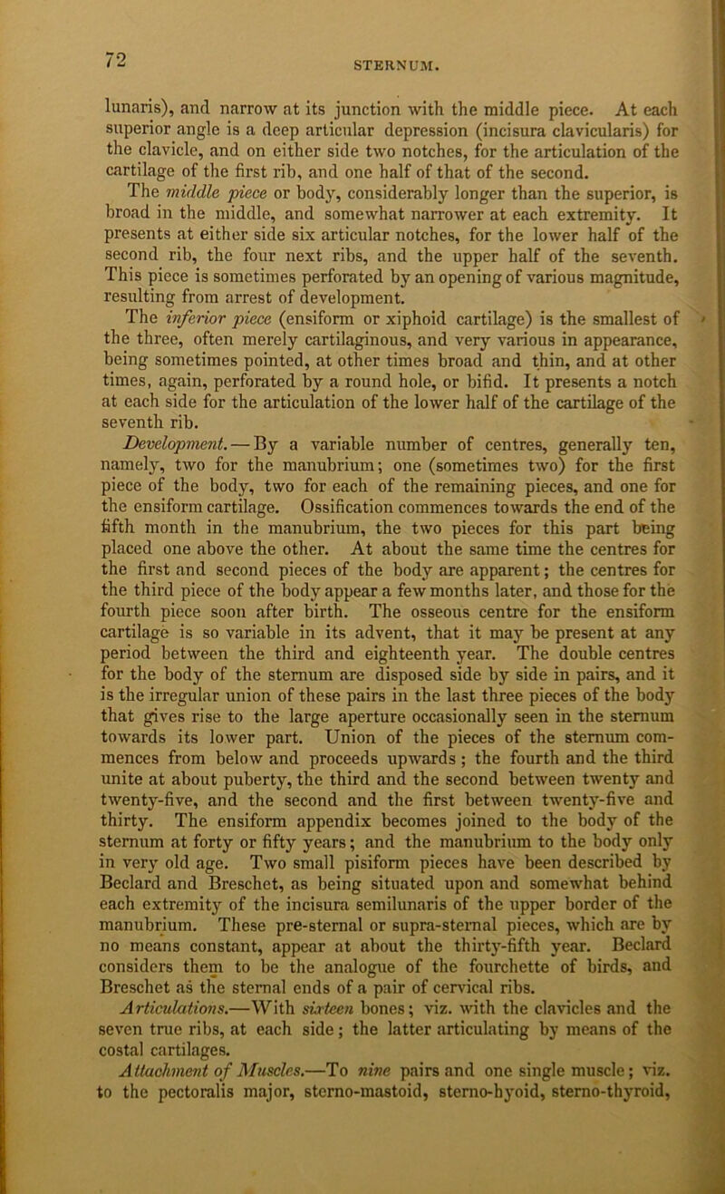 STERNUM. lunaris), and narrow at its junction with the middle piece. At each superior angle is a deep articidar depression (incisura clavicularis) for the clavicle, and on either side two notches, for the articulation of the cartilage of the first rib, and one half of that of the second. The middle piece or body, considerably longer than the superior, is broad in the middle, and somewhat narrower at each extremity. It presents at either side six articular notches, for the lower half of the second rib, the four next ribs, and the upper half of the seventh. This piece is sometimes perforated by an opening of various magnitude, resulting from arrest of development. The inferior piece (ensiform or xiphoid cartilage) is the smallest of the three, often merely cartilaginous, and very various in appearance, being sometimes pointed, at other times broad and thin, and at other times, again, perforated by a round hole, or bifid. It presents a notch at each side for the articulation of the lower half of the cartilage of the seventh rib. Development. — By a variable number of centres, generally ten, namely, two for the manubrium; one (sometimes two) for the first piece of the body, two for each of the remaining pieces, and one for the ensiform cartilage. Ossification commences towards the end of the fifth month in the manubrium, the two pieces for this part being placed one above the other. At about the same time the centres for the first and second pieces of the body are apparent; the centres for the third piece of the body appear a few months later, and those for the fourth piece soon after birth. The osseous centre for the ensiform cartilage is so variable in its advent, that it may be present at any period between the third and eighteenth year. The double centres for the body of the sternum are disposed side by side in pairs, and it is the irregular union of these pairs in the last three pieces of the body that gives rise to the large aperture occasionally seen in the sternum towards its lower part. Union of the pieces of the stemmn com- mences from below and proceeds upwards ; the fourth and the third unite at about puberty, the third and the second between twenty and twenty-five, and the second and the first between twenty-five and thirty. The ensiform appendix becomes joined to the body of the sternum at forty or fifty years; and the manubrium to the body only in very old age. Two small pisiform pieces have been described by Bedard and Breschet, as being situated upon and somewhat behind each extremity of the incisura semilunaris of the upper border of the manubrium. These pre-sternal or supra-stemal pieces, which are by no means constant, appear at about the thirty-fifth year. Bedard considers them to be the analogue of the fourchette of birds, and Breschet as the sternal ends of a pair of cervdcal ribs. Articulations.—With sLrteen bones; viz. with the clavicles and the seven true ribs, at each side; the latter :udiculating by means of the costal cartilages. Attachment of Muscles.—To nine pairs and one single muscle; viz. to the pectoralis major, sterno-mastoid, sterno-hyoid, stemo-thyroid.