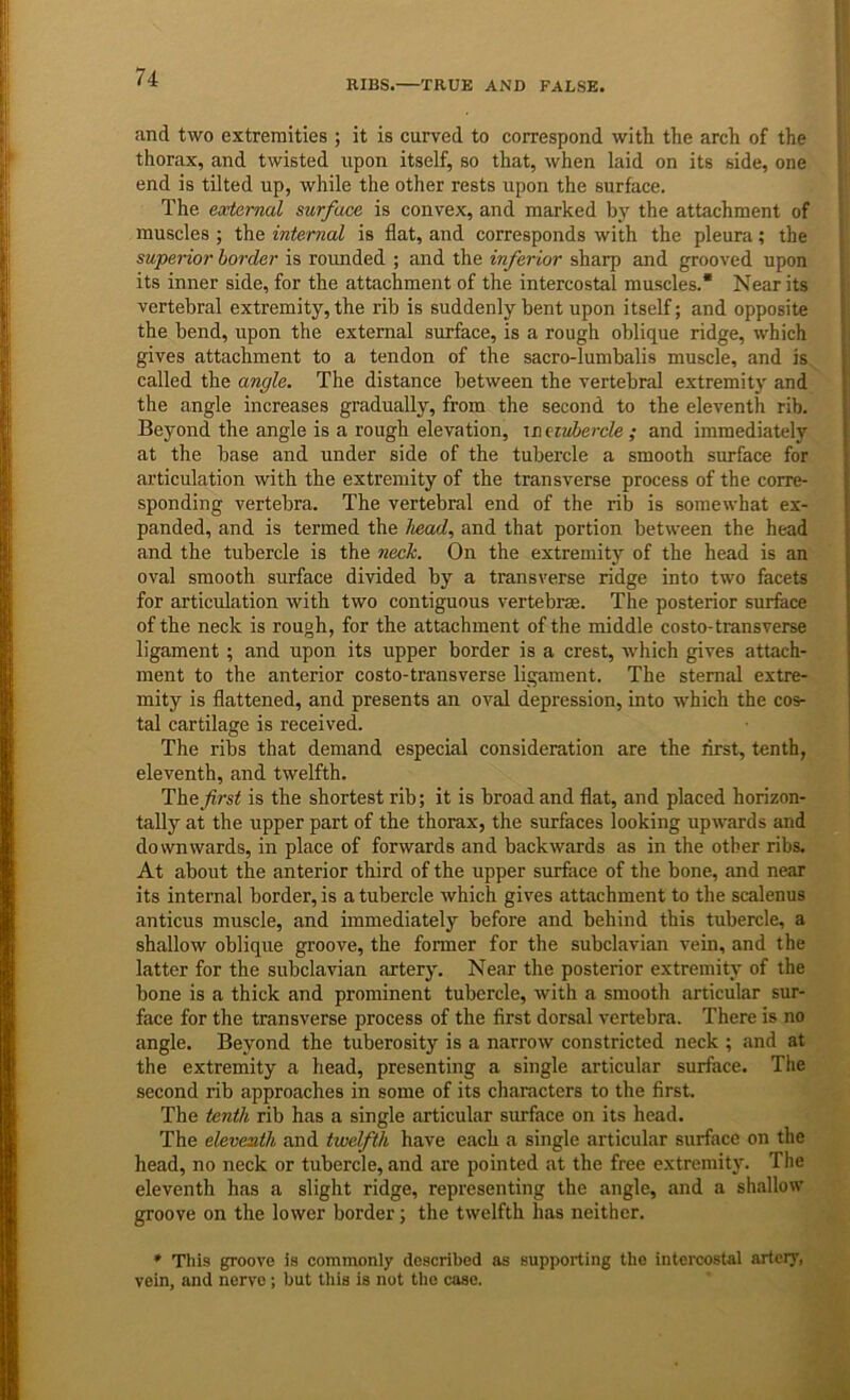 RIBS. TRUE AND FALSE. and two extremities ; it is curved to correspond with the arch of the thorax, and twisted upon itself, so that, when laid on its side, one end is tilted up, while the other rests upon the surface. The external surface is convex, and marked by the attachment of muscles ; the internal is flat, and corresponds with the pleura; the superior border is rounded ; and the inferior sharp and grooved upon its inner side, for the attachment of the intercostal muscles.* Near its vertebral extremity, the rib is suddenly bent upon itself; and opposite the bend, upon the external surface, is a rough oblique ridge, which gives attachment to a tendon of the sacro-lumbalis muscle, and is called the angle. The distance between the vertebral extremity and the angle increases gradually, from the second to the eleventh rib. Beyond the angle is a rough elevation, metuhercle ; and immediately at the base and under side of the tubercle a smooth surface for articulation with the extremity of the transverse process of the corre- sponding vertebra. The vertebral end of the rib is somewhat ex- panded, and is termed the head, and that portion between the head and the tubercle is the neck. On the extremity of the head is an oval smooth surface divided by a transverse ridge into two facets for articidation with two contiguous vertebras. The posterior surface of the neck is rough, for the attachment of the middle costo-transverse ligament; and upon its upper border is a crest, which gives attach- ment to the anterior costo-transverse ligament. The sternal extre- mity is flattened, and presents an oval depression, into which the cos- tal cartilage is received. The ribs that demand especial consideration are the lirst, tenth, eleventh, and twelfth. first is the shortest rib; it is broad and flat, and placed horizon- tally at the upper part of the thorax, the surfaces looking upwards and downwards, in place of forwards and backwards as in the other ribs. At about the anterior third of the upper surface of the bone, and near its internal border, is a tubercle which gives attachment to the scalenus anticus muscle, and immediately before and behind this tubercle, a shallow oblique groove, the former for the subclavian vein, and the latter for the subclavian artery. Near the posterior extremity of the bone is a thick and prominent tubercle, with a smooth articular sur- face for the transverse process of the first dorsal vertebra. There is no angle. Beyond the tuberosity is a narrow constricted neck ; and at the extremity a head, presenting a single articular surface. The second rib approaches in some of its characters to the first. The tenth rib has a single articular surface on its head. The eleventh and twelftli have each a single articular surface on the head, no neck or tubercle, and are pointed at the free extremity. The eleventh has a slight ridge, representing the angle, and a shallow groove on the lower border; the twelfth has neither. * This groove is commonly described as supporting the intercostal artery, vein, and nerve; but tliis is not the case.