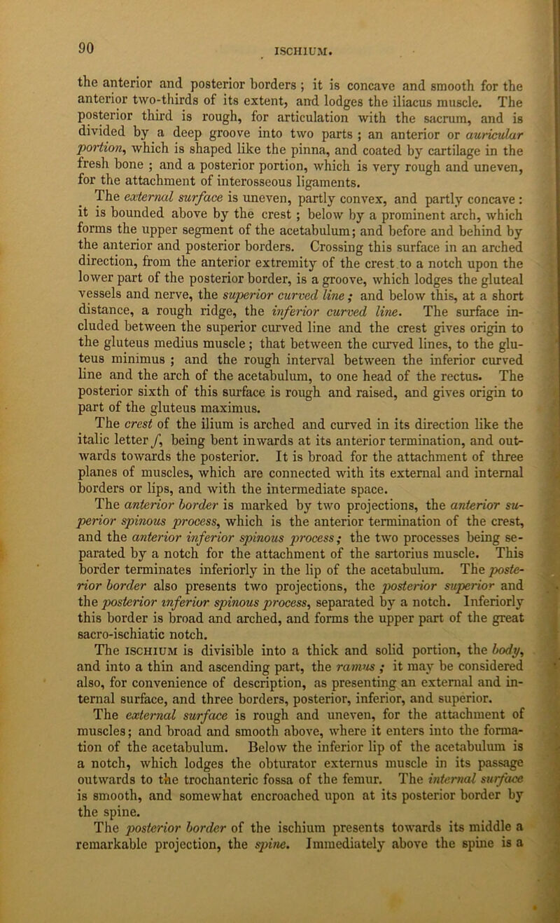 the anterior and posterior borders ; it is concave and smooth for the anterior two-thirds of its extent, and lodges the iliacus muscle. The posterior third is rough, for articulation with the sacrum, and is divided by a deep groove into two parts ; an anterior or auricular portion^ which is shaped like the pinna, and coated by cartilage in the fresh bone ; and a posterior portion, which is very rough and uneven, for the attachment of interosseous ligaments. The eodernal surface is uneven, partly convex, and partly concave : it is bounded above by the crest; below by a prominent arch, which forms the upper segment of the acetabulum; and before and behind by the anterior and posterior borders. Crossing this surface in an arched direction, from the anterior extremity of the crest, to a notch upon the lower part of the posterior border, is a groove, which lodges the gluteal vessels and nerve, the superior curved line ; and below this, at a short distance, a rough ridge, the inferior curved line. The surface in- cluded between the superior curved line and the crest gives origin to the gluteus medius muscle; that between the curved lines, to the glu- teus minimus ; and the rough interval between the inferior curved bne and the arch of the acetabulum, to one head of the rectus. The posterior sixth of this surface is rough and raised, and gives origin to part of the gluteus maximus. The crest of the ilium is arched and curved in its direction like the italic letter /, being bent inwards at its anterior termination, and out- wards towards the posterior. It is broad for the attachment of three planes of muscles, which are connected with its external and internal borders or lips, and with the intermediate space. The anterior border is marked by two projections, the anterior su- perior spinous process, which is the anterior termination of the crest, and the anterior inferior spinous process; the two processes being se- parated by a notch for the attachment of the sartorius muscle. This border terminates inferiorly in the lip of the acetabulmn. The poste- rior border also presents two projections, the posterior superior and the posterior inferior spinous process, separated by a notch. Inferiorly this border is broad and arched, and forms the upper part of the great sacro-ischiatic notch. The ISCHIUM is divisible into a thick and solid portion, the body, and into a thin and ascending part, the ranvis ; it may be considered also, for convenience of description, as presenting an external and in- ternal surface, and three borders, posterior, inferior, and superior. The external surface is rough and uneven, for the attachment of muscles; and broad and smooth above, where it enters into the forma- tion of the acetabulum. Below the inferior lip of the acetabulum is a notch, which lodges the obturator extemus muscle in its passage outwards to the trochanteric fossa of the femur. The internal surface is smooth, and somewhat encroached upon at its posterior border by the spine. The posterior border of the ischium presents towards its middle a remarkable projection, the S2rine. Immediately above the spine is a