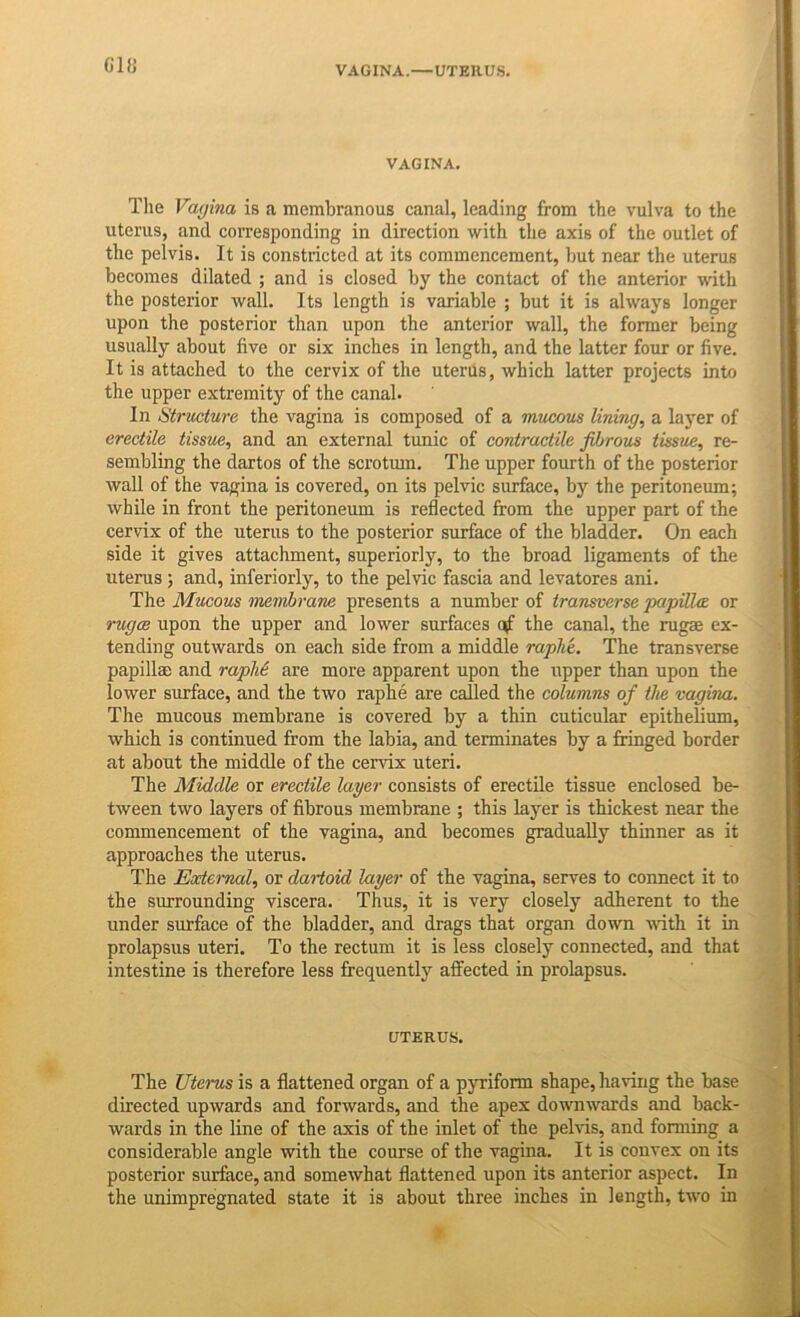 G18 VAGINA. The Vagina is a membranous canal, leading from the vulva to the uterus, and corresponding in direction with the axis of the outlet of the pelvis. It is constricted at its commencement, but near the uterus becomes dilated ; and is closed by the contact of the anterior with the posterior wall. Its length is variable ; but it is always longer upon the posterior than upon the anterior wall, the former being usually about five or six inches in length, and the latter four or five. It is attached to the cervix of the uterus, which latter projects into the upper extremity of the canal. In iStructure the vagina is composed of a mucous lining, a layer of erectile tissue, and an external tunic of contractile fibrous tissue, re- sembling the dartos of the scrotum. The upper fourth of the posterior wall of the vagina is covered, on its pelvic surface, by the peritoneum; while in front the peritoneum is reflected from the upper part of the cervix of the uterus to the posterior surface of the bladder. On each side it gives attachment, superiorly, to the broad ligaments of the uterus; and, interiorly, to the pelvic fascia and levatores ani. The Mucous membrane presents a number of transverse papUUe or rugce upon the upper and lower surfaces ojf the canal, the rugae ex- tending outwards on each side from a middle raphe. The transverse papillaj and rapM are more apparent upon the upper than upon the lower surface, and the two raphe are called the columns of the vagina. The mucous membrane is covered by a thin cuticular epithelium, which is continued from the labia, and terminates by a fringed border at about the middle of the cervix uteri. The Middle or erectile layer consists of erectile tissue enclosed be- tween two layers of fibrous membrane ; this layer is thickest near the commencement of the vagina, and becomes gradually thinner as it approaches the uterus. The Eocternal, or dartoid layer of the vagina, serves to connect it to the surrounding viscera. Thus, it is very closely adherent to the under surface of the bladder, and drags that organ down ndth it in prolapsus uteri. To the rectum it is less closely connected, and that intestine is therefore less frequently affected in prolapsus. UTERUS. The Uterus is a flattened organ of a pyriform shape, having the base directed upwards and forwards, and the apex domiwards and back- wards in the line of the axis of the inlet of the pehds, and forming a considerable angle with the course of the vagina. It is convex on its posterior surface, and somewhat flattened upon its anterior aspect. In the unimpregnated state it is about three inches in length, two in