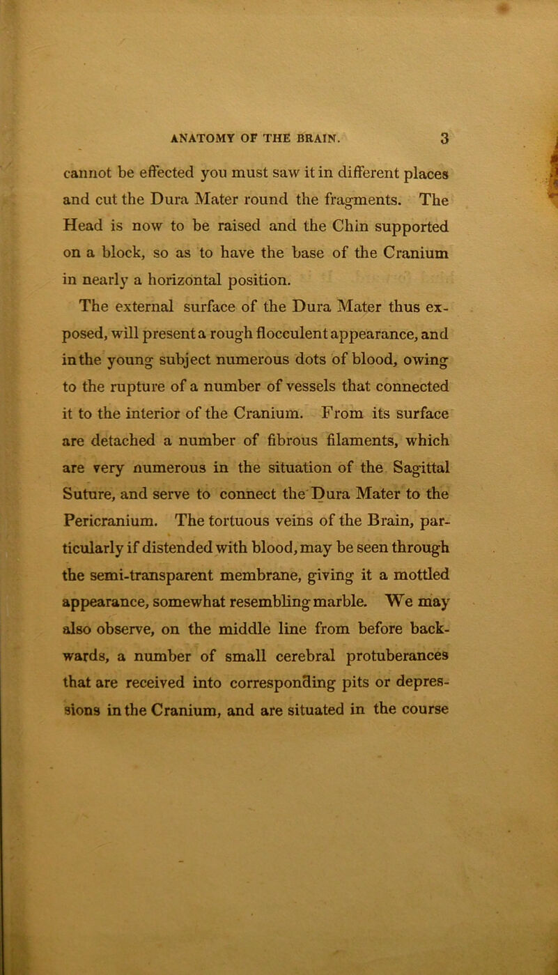 cannot be effected you must saw it in different places and cut the Dura Mater round the fragments. The Head is now to be raised and the Chin supported on a block, so as to have the base of the Cranium in nearly a horizontal position. The external surface of the Dura Mater thus ex- posed, will present a rough flocculent appearance, and in the young subject numerous dots of blood, owing to the rupture of a number of vessels that connected it to the interior of the Cranium. From its surface are detached a number of fibrous filaments, which are very numerous in the situation of the Sagittal Suture, and serve to connect the Dura Mater to the Pericranium. The tortuous veins of the Brain, par- ticularly if distended with blood, may be seen through the semi-transparent membrane, giving it a mottled appearance, somewhat resembling marble. We may also observe, on the middle line from before back- wards, a number of small cerebral protuberances that are received into corresponding pits or depres- sions in the Cranium, and are situated in the course