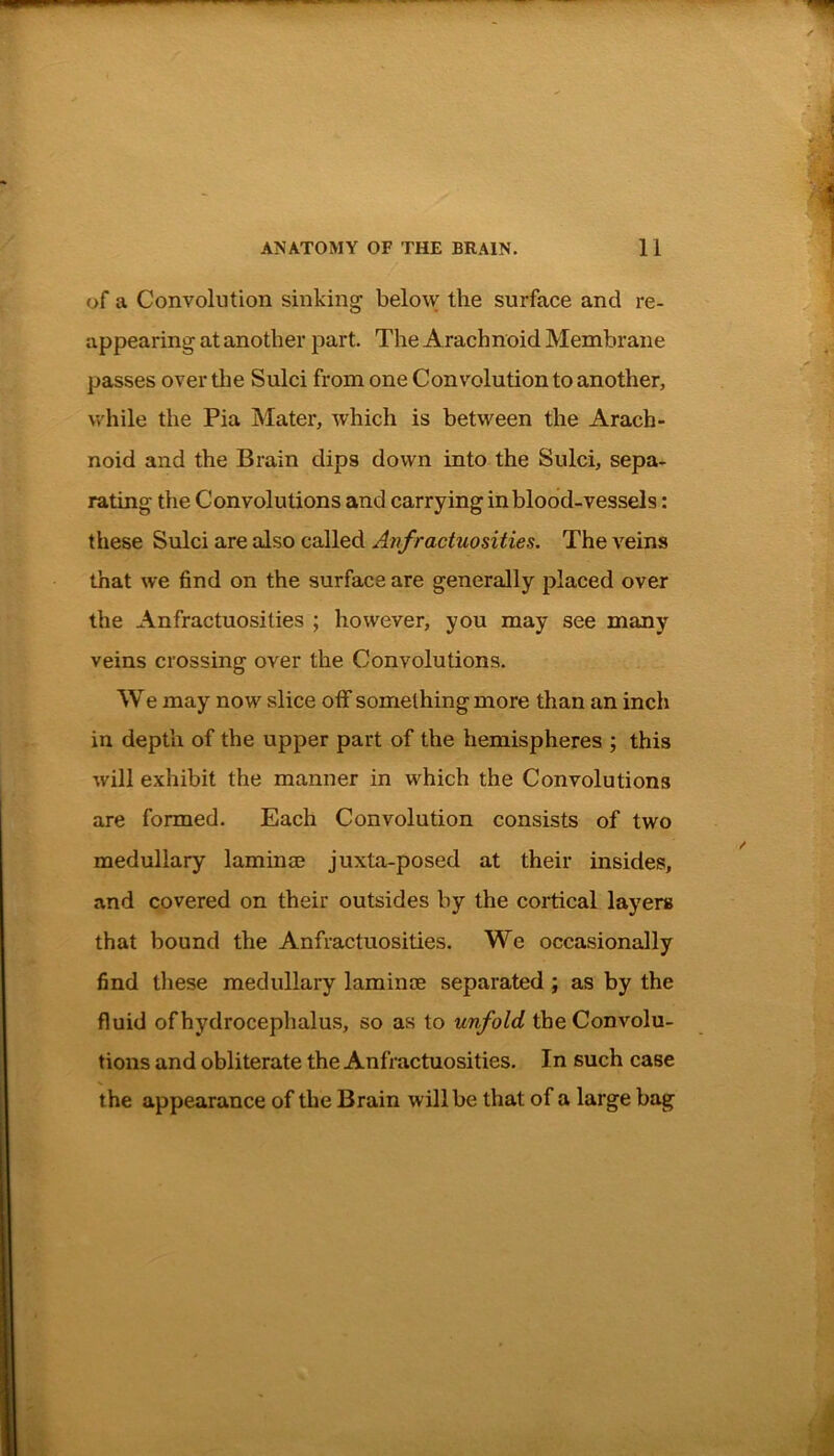 of a Convolution sinking below the surface and re- appearing at another part. The Arachnoid Membrane passes over the Sulci from one Convolution to another, while the Pia Mater, which is between the Arach- noid and the Brain dips down into the Sulci, sepa- rating the Convolutions and carrying in blood-vessels : these Sulci are also called Anfractuosities. The veins that we find on the surface are generally placed over the Anfractuosities ; however, you may see many veins crossing over the Convolutions. We may now slice off something more than an inch in depth of the upper part of the hemispheres ; this will exhibit the manner in which the Convolutions are formed. Each Convolution consists of two medullary laminae juxta-posed at their insides, and covered on their outsides by the cortical layers that bound the Anfractuosities. We occasionally find these medullary laminae separated ; as by the fluid of hydrocephalus, so as to unfold the Convolu- tions and obliterate the Anfractuosities. In such case the appearance of the Brain will be that of a large bag