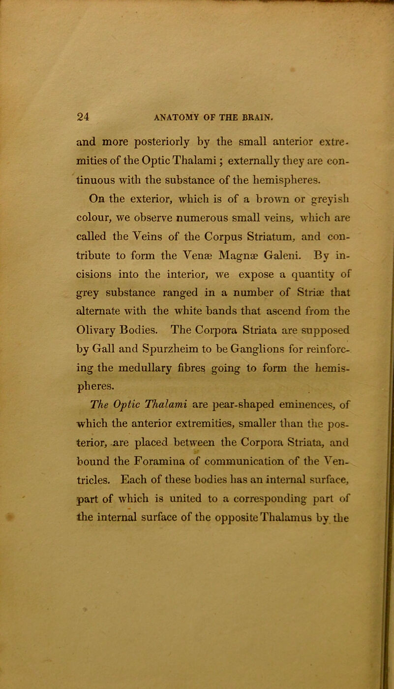 and more posteriorly by the small anterior extre- mities of the Optic Thalami; externally they are con- tinuous with the substance of the hemispheres. On the exterior, which is of a brown or greyish colour, we observe numerous small veins, which are called the Veins of the Corpus Striatum, and con- tribute to form the Venae Magnae Galeni. By in- cisions into the interior, we expose a quantity of grey substance ranged in a number of Striae that alternate with the white bands that ascend from the Olivary Bodies. The Corpora Striata are supposed by Gall and Spurzheim to be Ganglions for reinforc- ing the medullary fibres going to form the hemis- pheres. The Optic Thalami are pear-shaped eminences, of which the anterior extremities, smaller than the pos- terior, are placed between the Corpora Striata, and bound the Foramina of communication of the Ven- tricles. Each of these bodies has an internal surface, part of which is united to a corresponding part of the internal surface of the opposite Thalamus by the