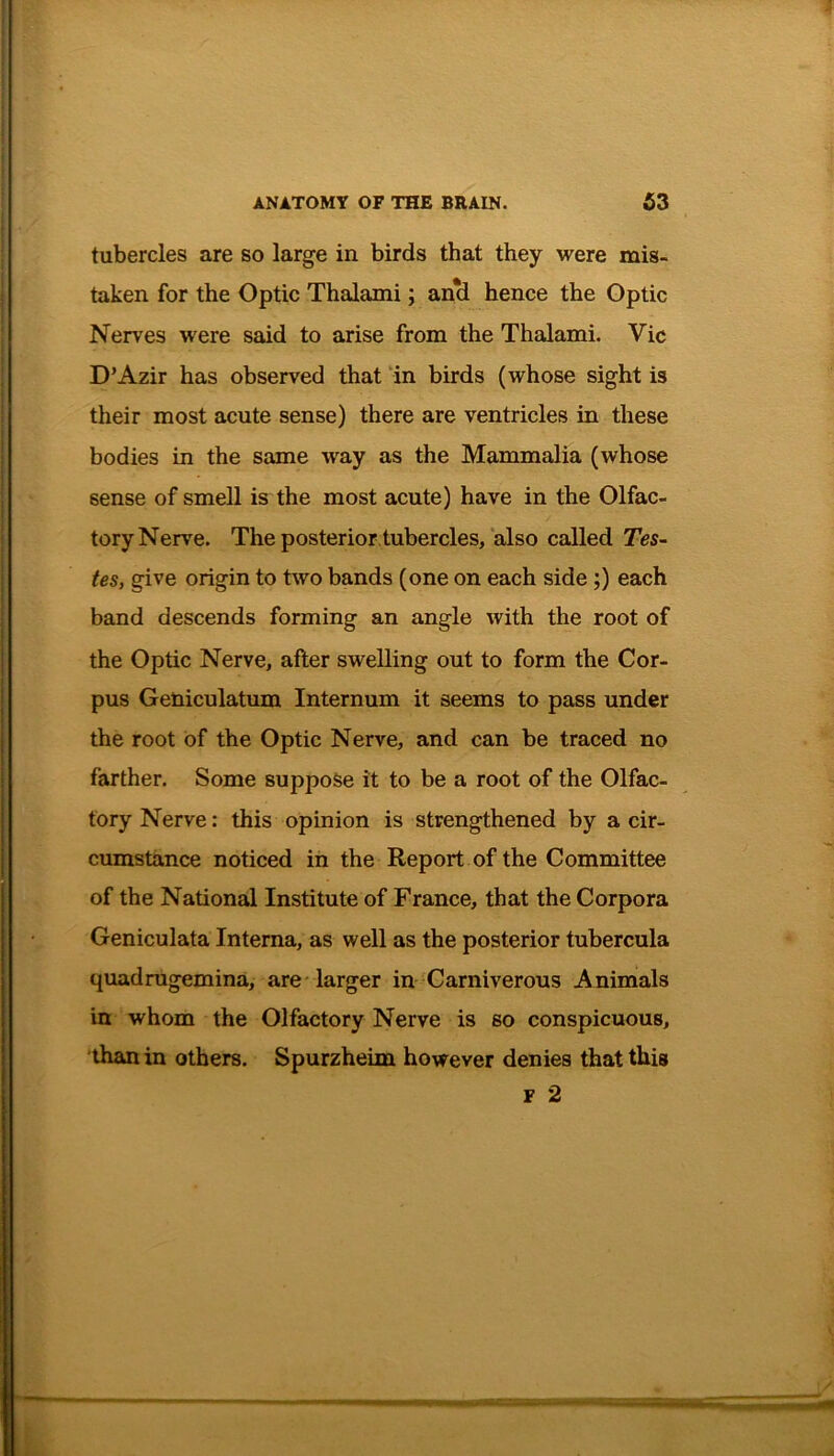 tubercles are so large in birds that they were mis- taken for the Optic Thalami; ancl hence the Optic Nerves were said to arise from the Thalami. Vic D’Azir has observed that in birds (whose sight is their most acute sense) there are ventricles in these bodies in the same way as the Mammalia (whose sense of smell is the most acute) have in the Olfac- tory Nerve. The posterior tubercles, also called Tes- tes, give origin to two bands (one on each side ;) each band descends forming an angle with the root of the Optic Nerve, after swelling out to form the Cor- pus Geniculatum Internum it seems to pass under the root of the Optic Nerve, and can be traced no farther. Some suppose it to be a root of the Olfac- tory Nerve: this opinion is strengthened by a cir- cumstance noticed in the Report of the Committee of the National Institute of France, that the Corpora Geniculata Interna, as well as the posterior tubercula quadrugemina, are larger in Carniverous Animals in whom the Olfactory Nerve is so conspicuous, than in others. Spurzheim however denies that this f 2