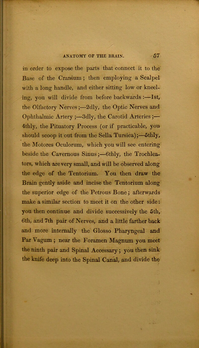 in order to expose the parts that connect it to the Base of the Cranium; then employing a Scalpel with a long handle, and either sitting low or kneel- ing, you will divide from before backwards :—1st, the Olfactory Nerves;—2dly, the Optic Nerves and Ophthalmic Artery ;—3dly, the Carotid Arteries;— 4thly, the Pituatory Process (or if practicable, you should scoop it out from the Sella Tursica);—5thly, the Motores Oculorum, which you will see entering beside the Cavernous Sinus;—6thly, the Trochlea- tors, which are very small, and will be observed along the edge of the Tentorium. You then draw the Brain gently aside and incise the Tentorium along the superior edge of the Petrous Bone; afterwards make a similar section to meet it on the other side: you then continue and divide successively the 5th, 6th, and 7th pair of Nerves, and a little farther back and more internally the Glosso Pharyngeal and Par Vaguin ; near the Foramen Magnum you meet the ninth pair and Spinal Accessary; you then sink the knife deep into the Spinal Canal, and divide the