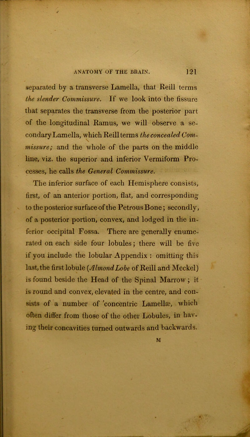 separated by a transverse Lamella, that Reili terms the slender Commissure. If we look into the fissure that separates the transverse from the posterior part of the longitudinal Ramus, we will observe a se- condary Lamella, which Reili terms the concealed Com- missure; and the whole of the parts on the middle line, viz. the superior and inferior Vermiform Pro- cesses, he calls the General Commissure. The inferior surface of each Hemisphere consists, first, of an anterior portion, flat, and corresponding to the posterior surface of the Petrous Bone; secondly, of a posterior portion, convex, and lodged in the in- ferior occipital Fossa. There are generally enume- rated on each side four lobules; there will be five if you include the lobular Appendix : omitting this last, the first lobule {AlmondLobe of Reili and Meckel) is found beside the Head of the Spinal Marrow; it is round and convex, elevated in the centre, and con- sists of a number of ’concentric Lamellae, which often differ from those of the other Lobules, in hav- ing their concavities turned outwards and backwards. M