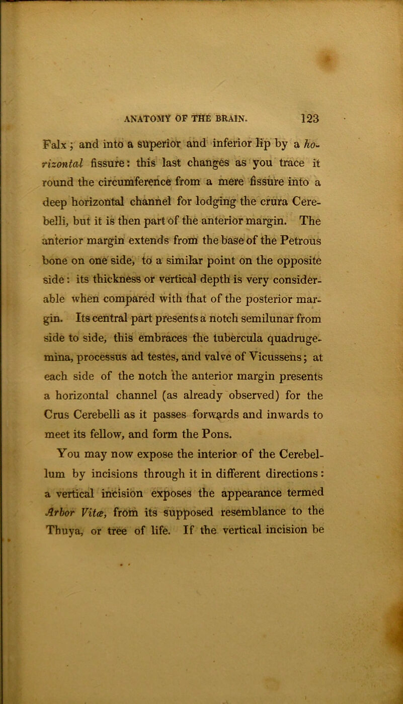 Falx ; and into a superior and inferior lip by a ho- rizontal fissure: this last changes as you trace it round the circumference from a mere fissure into a I deep horizontal channel for lodging the crura Cere- belli, but it is then part of the anterior margin. The anterior margin extends from the base of the Petrous bone on one side, to a similar point on the opposite side: its thickness or vertical depth is very consider- able when compared with that of the posterior mar- gin. Its central part presents a notch semilunar from side to side, this embraces the tubercula quadruge- mina, processus ad testes, and valve of Vicussens; at each side of the notch the anterior margin presents a horizontal channel (as already observed) for the Crus Cerebelli as it passes forwards and inwards to meet its fellow, and form the Pons. You may now expose the interior of the Cerebel- lum by incisions through it in different directions: a vertical incision exposes the appearance termed Arbor Vita, from its supposed resemblance to the Thuya, or tree of life. If the vertical incision be I