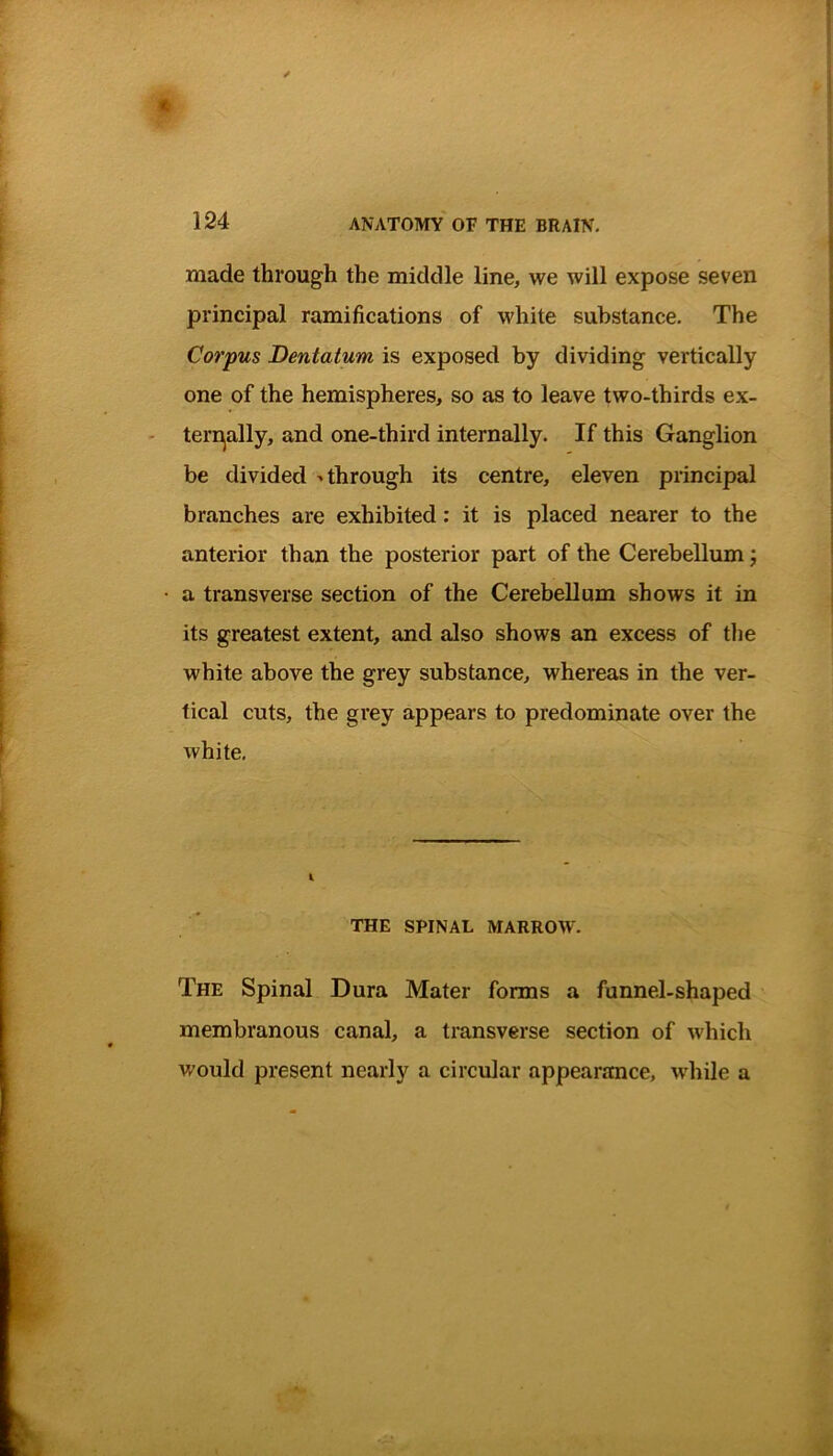 made through the middle line, we will expose seven principal ramifications of white substance. The Corpus Dentatum is exposed by dividing vertically one of the hemispheres, so as to leave two-thirds ex- ternally, and one-third internally. If this Ganglion be divided > through its centre, eleven principal branches are exhibited: it is placed nearer to the anterior than the posterior part of the Cerebellum; a transverse section of the Cerebellum shows it in its greatest extent, and also shows an excess of the white above the grey substance, whereas in the ver- tical cuts, the grey appears to predominate over the white. THE SPINAL MARROW. The Spinal Dura Mater forms a funnel-shaped membranous canal, a transverse section of which would present nearly a circular appearance, while a