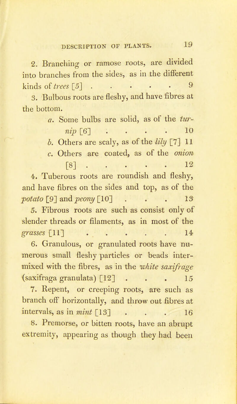 2. Branching or ramose roots, are divided into branches from the sides, as in the different kinds of trees [5] 9 3. Bulbous roots are fleshy, and have fibres at the bottom. a. Some bulbs are solid, as of the tur- nip [6] .... 10 b. Others are scaly, as of the lily [7] 11 c. Others are coated, as of the onion [8] 12 4. Tuberous roots are roundish and fleshy, and have fibres on the sides and top, as of the potato [9] and peony [10] . . . 13 5. Fibrous roots are such as consist only of slender threads or filaments, as in most of the grasses [11] . . . . 14> 6. Granulous, or granulated roots have nu- merous small fleshy particles or beads inter- mixed with the fibres, as in the white saxifrage (saxifraga granulata) [12] ... 15 7. Repent, or creeping roots, are such as branch off horizontally, and throw out fibres at intervals, as in mint [13] ... 16 8. Premorse, or bitten roots, have an abrupt extremity, appearing as though they had been