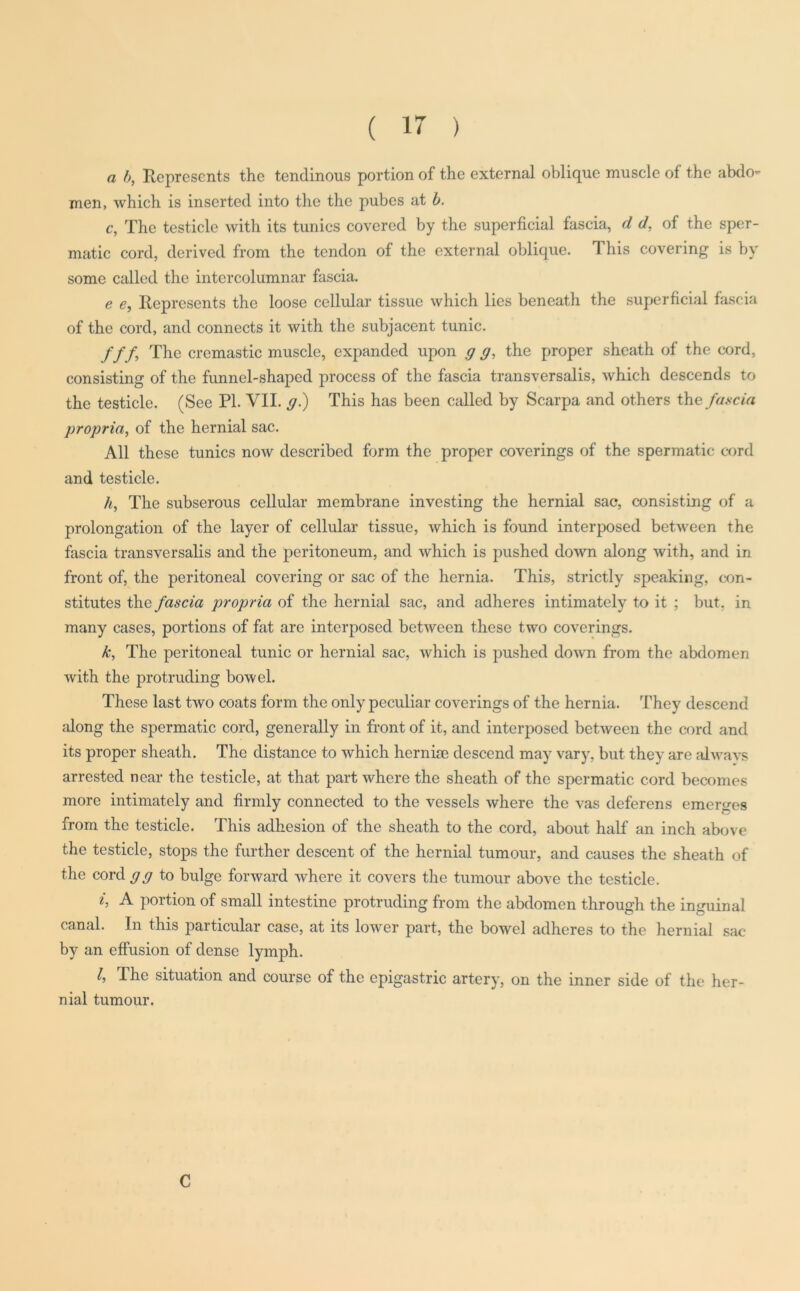 a b, Represents the tendinous portion of the external oblique muscle of the abdo- men, which is inserted into the the pubes at b. c, The testicle with its tunics covered by the superficial fascia, d d, of the sper- matic cord, derived from the tendon of the external oblique. This covering is by some called the intcrcolumnar fascia. e e, Represents the loose cellular tissue which lies beneath the superficial fascia of the cord, and connects it with the subjacent tunic. ///, The cremastic muscle, expanded upon g g, the proper sheath of the cord, consisting of the funnel-shaped process of the fascia transversalis, which descends to the testicle. (See PL VII. g.) This has been called by Scarpa and others the fascia propria, of the hernial sac. All these tunics now described form the proper coverings of the spermatic cord and testicle. h, The subserous cellular membrane investing the hernial sac, consisting of a prolongation of the layer of cellular tissue, which is found interposed between the fascia transversalis and the peritoneum, and which is pushed down along with, and in front of, the peritoneal covering or sac of the hernia. This, strictly speaking, con- stitutes the fascia propria of the hernial sac, and adheres intimately to it ; but, in many cases, portions of fat are interposed between these two coverings. k, The peritoneal tunic or hernial sac, which is pushed down from the abdomen with the protruding bowel. These last two coats form the only peculiar coverings of the hernia. They descend along the spermatic cord, generally in front of it, and interposed between the cord and its proper sheath. The distance to which hernise descend may vary, but they are alwavs arrested near the testicle, at that part where the sheath of the spermatic cord becomes more intimately and firmly connected to the vessels where the vas deferens emerges from the testicle. This adhesion of the sheath to the cord, about half an inch above the testicle, stops the further descent of the hernial tumour, and causes the sheath of the cord gg to bulge forward where it covers the tumour above the testicle. i, A portion of small intestine protruding from the abdomen through the inguinal canal. In this particular case, at its lower part, the bowel adheres to the hernial sac by an effusion of dense lymph. l, The situation and course of the epigastric artery, on the inner side of the her- nial tumour. C