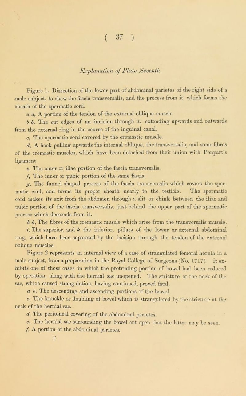 Explanation of Plate Seventh. Figure 1. Dissection of the lower part of abdominal parietes of the right side of a male subject, to shew the fascia transversalis, and the process from it, which forms the sheath of the spermatic cord. a a, A portion of the tendon of the external oblique muscle. b b, The cut edges of an incision through it, extending upwards and outwards from the external ring in the course of the inguinal canal. c, The spermatic cord covered by the cremastic muscle. d, A hook pulling upwards the internal oblique, the transversalis, and some fibres of the cremastic muscles, which have been detached from their union with Ponpart’s ligament. e, The outer or iliac portion of the fascia transversalis. /, The inner or pubic portion of the same fascia. g, The funnel-shaped process of the fascia transversalis which covers the sper- matic cord, and forms its proper sheath nearly to the testicle. The spermatic cord makes its exit from the abdomen through a slit or chink between the iliac and pubic portion of the fascia transversalis, just behind the upper part of the spermatic process which descends from it. h h, The fibres of the cremastic muscle which arise from the transversalis muscle. i, The superior, and k the inferior, pillars of the lower or external abdominal ring, which have been separated by the incision through the tendon of the external oblique muscles. Figure 2 represents an internal view of a case of strangulated femoral hernia in a male subject, from a preparation in the Royal College of Surgeons (No. 1717). It ex- hibits one of those cases in which the protruding portion of bowel had been reduced by operation, along with the hernial sac unopened. The stricture at the neck of the sac, which caused strangulation, having continued, proved fatal. a b, The descending and ascending portions of tjie bowel. c, The knuckle or doubling of bowel which is strangulated by the stricture at the neck of the hernial sac. d, The peritoneal covering of the abdominal parietes. e, The hernial sac surrounding the bowel cut open that the latter may be seen. /, A portion of the abdominal parietes. F
