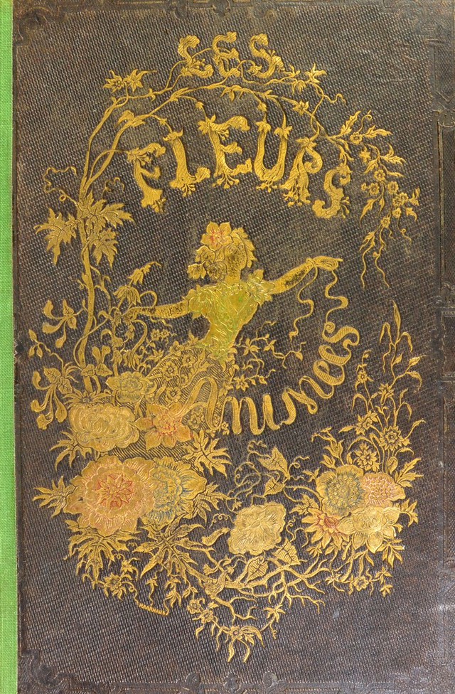 digitised image 1