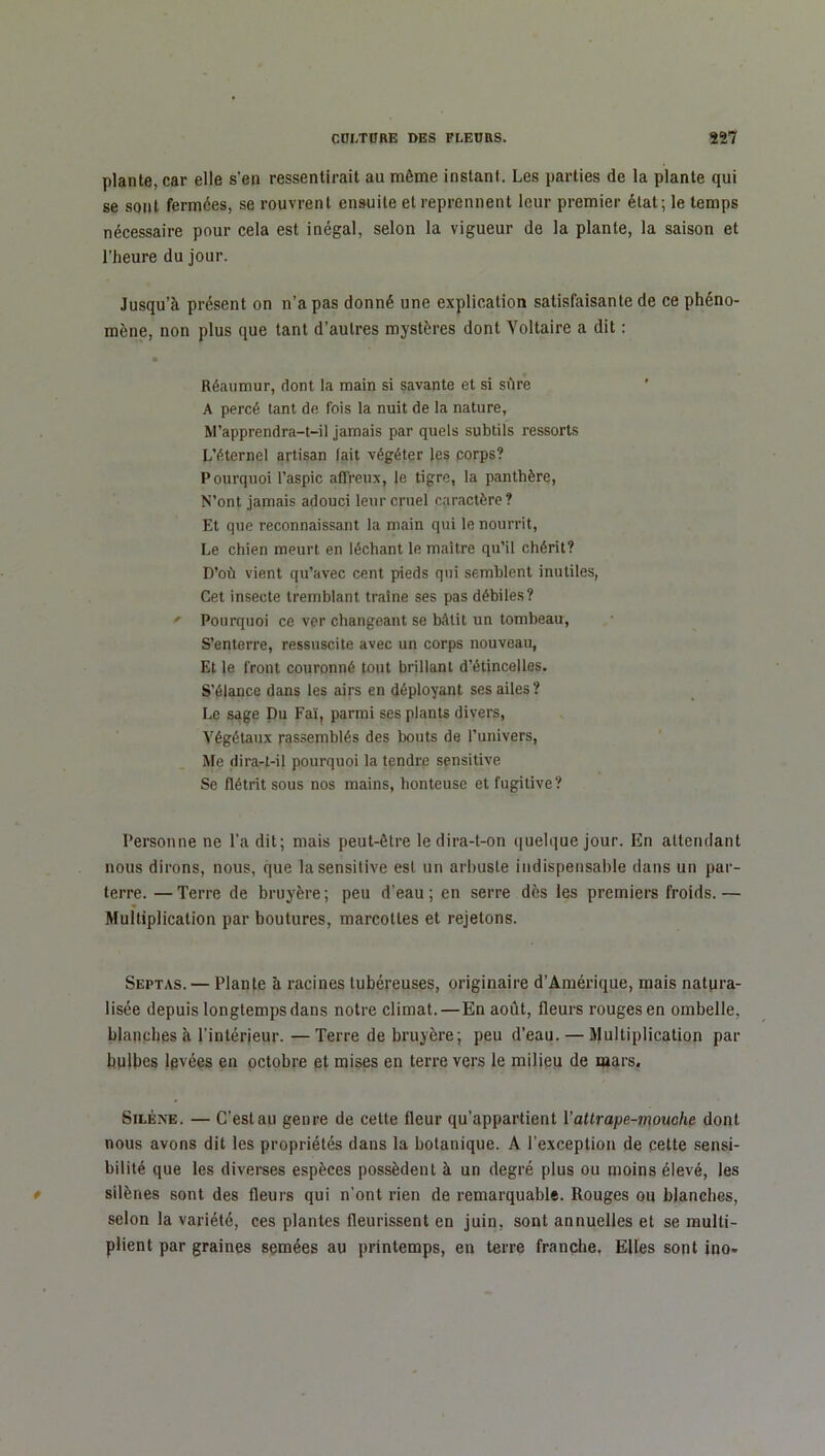 plante, car elle s'en ressentirait au môme instant. Les parties de la plante qui se sont fermées, se rouvrent ensuite et reprennent leur premier état; le temps nécessaire pour cela est inégal, selon la vigueur de la plante, la saison et l’heure du jour. Jusqu’à présent on n’a pas donné une explication satisfaisante de ce phéno- mène, non plus que tant d’autres mystères dont Voltaire a dit : Réaumur, dont la main si savante et si sûre A percé tant de fois la nuit de la nature, M’apprendra-t-il jamais par quels subtils ressorts L’éternel artisan lait végéter les corps? Pourquoi l’aspic affreux, le tigre, la panthère, N’ont jamais adouci leur cruel caractère? Et que reconnaissant la main qui le nourrit, Le chien meurt en léchant le maître qu’il chérit? D’où vient qu’avec cent pieds qui semblent inutiles, Cet insecte tremblant traîne ses pas débiles? * Pourquoi ce ver changeant se bâtit un tombeau, S’enterre, ressuscite avec un corps nouveau, Et le front couronné tout brillant d’étincelles. S’élance dans les airs en déployant ses ailes? Le sage Du Faï, parmi ses plants divers, Végétaux rassemblés des bouts de l’univers, Me dira-t-il pourquoi la tendre sensitive Se flétrit sous nos mains, honteuse et fugitive? Personne ne l’a dit; mais peut-être le dira-t-on quelque jour. En attendant nous dirons, nous, que la sensitive est un arbuste indispensable dans un par- terre. — Terre de bruyère ; peu d’eau ; en serre dès les premiers froids. — Multiplication par boutures, marcottes et rejetons. Sept as. — Plante à racines tubéreuses, originaire d’Amérique, mais natura- lisée depuis longtemps dans notre climat.—En août, fleurs rouges en ombelle, blanches à l'intérieur. —Terre de bruyère; peu d’eau. — Multiplication par bulbes levées en octobre et mises en terre vers le milieu de mars. Silène. — C’est au genre de cette fleur qu’appartient l'attrape-mouche dont nous avons dit les propriétés dans la botanique. A l’exception de cette sensi- bilité que les diverses espèces possèdent à un degré plus ou moins élevé, les silènes sont des fleurs qui n’ont rien de remarquable. Rouges ou blanches, selon la variété, ces plantes fleurissent en juin, sont annuelles et se multi- plient par graines semées au printemps, en terre franche. Elles sont ino-