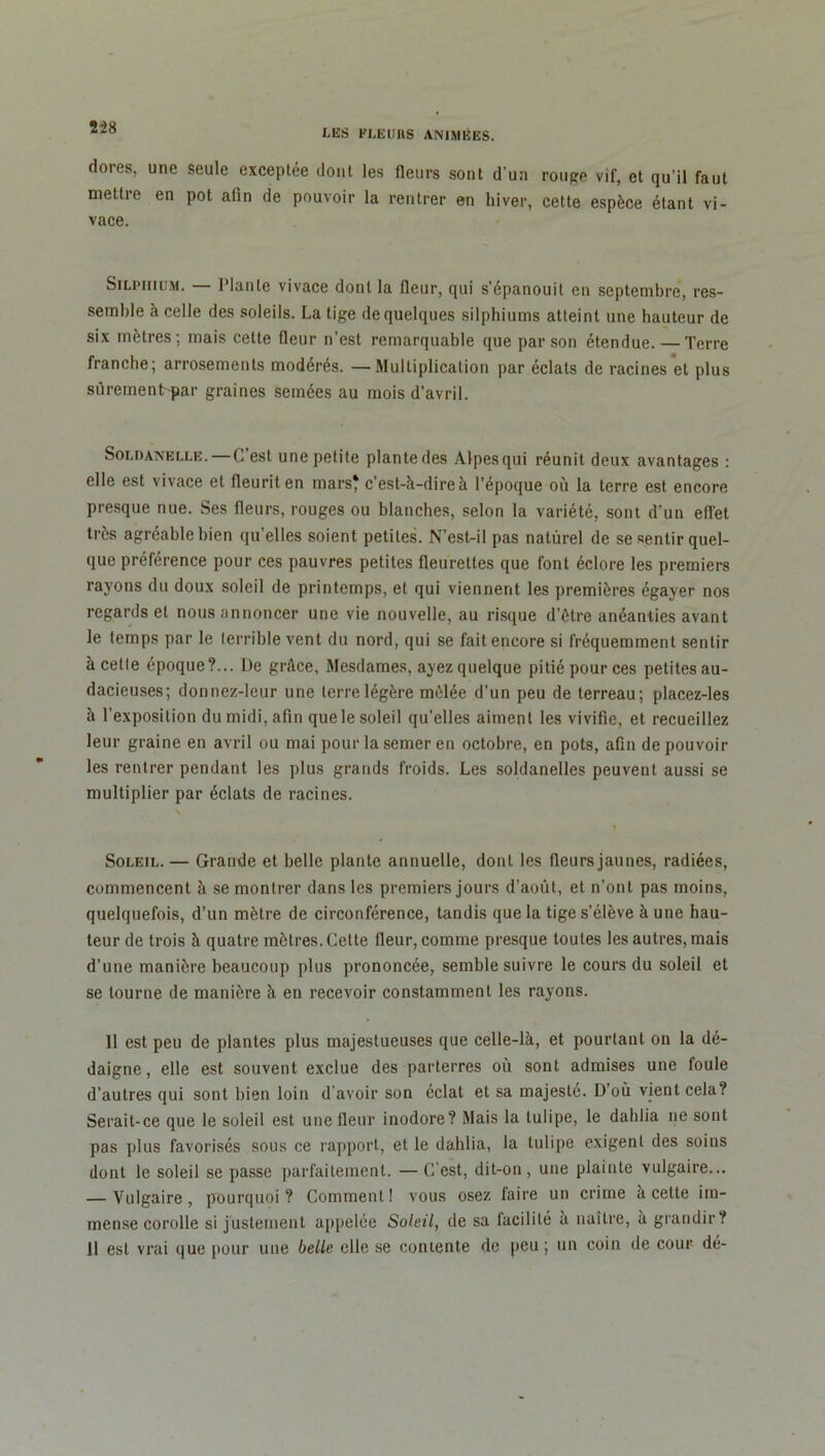 IÆS FLEURS ANIMÉES. dores, une seule exceptée dont les fleurs sont d'un rouge vif, et qu’il faut mettre en pot afin de pouvoir la rentrer en hiver, cette espèce étant vi- vace. Silphium. — Plante vivace dont la fleur, qui s’épanouit en septembre, res- semble à celle des soleils. La tige de quelques silphiums atteint une hauteur de six mètres ; mais cette fleur n’est remarquable que par son étendue. —Terre franche; arrosements modérés. —Multiplication par éclats de racines et plus sûrement-par graines semées au mois d’avril. Soldanelle.—C est une petite plante des Alpes qui réunit deux avantages : elle est vivace et fleurit en mars* c’est-à-dire à l’époque où la terre est encore presque nue. Ses fleurs, rouges ou blanches, selon la variété, sont d’un effet très agréable bien qu’elles soient petites. N’est-il pas naturel de se sentir quel- que préférence pour ces pauvres petites fleurettes que font éclore les premiers rayons du doux soleil de printemps, et qui viennent les premières égayer nos regards et nous annoncer une vie nouvelle, au risque d’être anéanties avant le temps par le terrible vent du nord, qui se fait encore si fréquemment sentir à celle époque?... De grâce, Mesdames, ayez quelque pitié pour ces petites au- dacieuses; donnez-leur une terre légère mêlée d’un peu de terreau; placez-les à l’exposition du midi, afin que le soleil qu’elles aiment les vivifie, et recueillez leur graine en avril ou mai pour la semer en octobre, en pots, afin de pouvoir les rentrer pendant les plus grands froids. Les soldanelles peuvent aussi se multiplier par éclats de racines. Soleil. — Grande et belle plante annuelle, dont les fleurs jaunes, radiées, commencent à se montrer dans les premiers jours d’août, et n’ont pas moins, quelquefois, d’un mètre de circonférence, tandis que la tige s’élève à une hau- teur de trois à quatre mètres. Cette fleur, comme presque toutes les autres, mais d’une manière beaucoup plus prononcée, semble suivre le cours du soleil et se tourne de manière à en recevoir constamment les rayons. 11 est peu de plantes plus majestueuses que celle-là, et pourtant on la dé- daigne, elle est souvent exclue des parterres où sont admises une foule d’autres qui sont bien loin d’avoir son éclat et sa majesté. D’où vient cela? Serait-ce que le soleil est une fleur inodore? Mais la tulipe, le dahlia ne sont pas plus favorisés sous ce rapport, et le dahlia, la tulipe exigent des soins dont le soleil se passe parfaitement. —C’est, dit-on, une plainte vulgaire... — Vulgaire, pourquoi? Comment I vous osez faire un crime à cette im- mense corolle si justement appelée Soleil, de sa facilité a naître, à grandir? 11 est vrai que pour une belle elle se contente de peu ; un coin de cour dé-