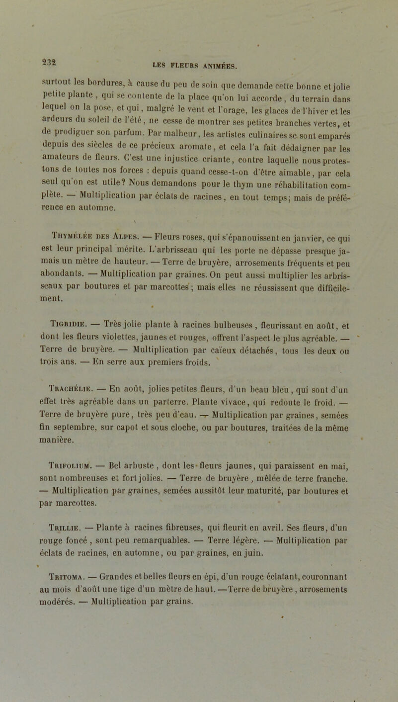 LES PLEURS ANIMÉES. suiioul les bordures, à cause du peu de soin que demande celte bonne et jolie petite plante , qui se contente de la place qu’on lui accorde, du terrain dans lequel on la pose, et qui, malgré le vent et l’orage, les glaces de l’hiver et les ardeurs du soleil de l’été, ne cesse de montrer ses petites branches Vertes, et de prodiguer son parfum. Par malheur, les artistes culinaires se sont emparés depuis des siècles de ce précieux aromate, et cela l’a fait dédaigner par les amateurs de fleurs. C est une injustice criante, contre laquelle nous protes- tons de toutes nos forces : depuis quand cesse-t-on d’être aimable, par cela seul qu’on est utile? Nous demandons pour le thym une réhabilitation com- plète. Multiplication par éclats de racines, en tout temps; mais de préfé- rence en automne. V Thymélée des Alpes. — Fleurs roses, qui s’épanouissent en janvier, ce qui est leur principal mérite. L arbrisseau qui les porte ne dépasse presque ja- mais un mètre de hauteur. — Terre de bruyère, arrosements fréquents et peu abondants. — Multiplication par graines. On peut aussi multiplier les arbris- seaux par boutures et par marcottes ; mais elles ne réussissent que difficile- ment. Iigridie. — Très jolie plante à racines bulbeuses, fleurissant en août, et dont les fleurs violettes, jaunes et rouges, oll’renl l’aspect le plus agréable. — Terre de bruyère. — Multiplication par caïeux détachés, tous les deux ou trois ans. — En serre aux premiers froids. Traohélie. — En août, jolies petites fleurs, d’un beau bleu, qui sont d'un effet très agréable dans un parterre. Plante vivace, qui redoute le froid. — Terre de bruyère pure, très peu d’eau, -r- Multiplication par graines, semées fin septembre, sur capot et sous cloche, ou par boutures, traitées de la même manière. Trifolium. — Bel arbuste , dont les fleurs jaunes, qui paraissent en mai, sont nombreuses et fort jolies. — Terre de bruyère , mêlée de terre franche. — Multiplication par graines, semées aussitôt leur maturité, par boutures et par marcottes. Trillie. —Plante à racines fibreuses, qui fleurit en avril. Ses fleurs, d’un rouge foncé, sont peu remarquables. — Terre légère. — Multiplication par éclats de racines, en automne, ou par graines, en juin. t * Tritoma. — Grandes et belles fleurs en épi, d’un rouge éclatant, couronnant au mois d’août une tige d’un mètre de haut. —Terre de bruyère, arrosements modérés. — Multiplication par grains.