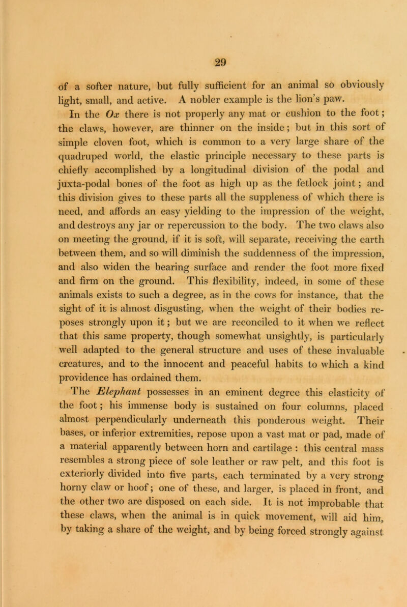 of a softer nature, but fully sufficient for an animal so obviously light, small, and active. A nobler example is the lion’s paw. In the Ox there is not properly any mat or cushion to the foot; the claws, however, are thinner on the inside; but in this sort of simple cloven foot, which is common to a very large share of the quadruped world, the elastic principle necessary to these parts is chiefly accomplished by a longitudinal division of the podal and juxta-podal bones of the foot as high up as the fetlock joint; and this division gives to these parts all the suppleness of which there is need, and affords an easy yielding to the impression of the weight, and destroys any jar or repercussion to the body. The two claws also on meeting the ground, if it is soft, will separate, receiving the earth between them, and so will diminish the suddenness of the impression, and also widen the bearing surface and render the foot more fixed and firm on the ground. This flexibility, indeed, in some of these animals exists to such a degree, as in the cows for instance, that the sight of it is almost disgusting, when the weight of their bodies re- poses strongly upon it; but we are reconciled to it when we reflect that this same property, though somewhat unsightly, is particularly well adapted to the general structure and uses of these invaluable creatures, and to the innocent and peaceful habits to which a kind providence has ordained them. The Elephant possesses in an eminent degree this elasticity of the foot; his immense body is sustained on four columns, placed almost perpendicularly underneath this ponderous weight. Their bases, or inferior extremities, repose upon a vast mat or pad, made of a material apparently between horn and cartilage : this central mass resembles a strong piece of sole leather or raw pelt, and this foot is exteriorly divided into five parts, each terminated by a very strong horny claw or hoof; one of these, and larger, is placed in front, and the other two are disposed on each side. It is not improbable that these claws, when the animal is in quick movement, will aid him, by taking a share of the weight, and by being forced strongly against