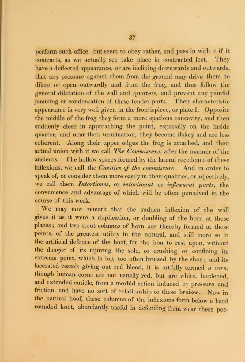 perform such office, but seem to obey rather, and pass in with it if it contracts, as we actually see take place in contracted feet. They have a deflected appearance, or are inclining downwards and outwards, that any pressure against them from the ground may drive them to dilate or open outwardly and from the frog, and thus follow the general dilatation of the wall and quarters, and prevent any painful jamming or condensation of these tender parts. Their characteristic appearance is very well given in the frontispiece, or plate I. Opposite the middle of the frog they form a more spacious concavity, and then suddenly close in approaching the point, especially on the inside quarter, and near their termination, they become flakey and are less coherent. Along their upper edges the frog is attached, and their actual union with it we call The Commissure, after the manner of the ancients. The hollow spaces formed by the lateral recedence of these inflexions, we call the Cavities of the commissure. And in order to speak of, or consider them more easily in their qualities, or adjectively, we call them Intortiones, or intortional or inflexural parts, the convenience and advantage of which will be often perceived in the course of this work. We may now remark that the sudden inflexion of the wall gives it as it were a duplication, or doubling of the horn at these places; and two stout columns of horn are thereby formed at these points, of the greatest utility in the natural, and still more so in the artificial defence of the hoof, for the iron to rest uj:>on, without the danger of its injuring the sole, or crushing or confining its extreme point, which is but too often bruised by the shoe; and its lacerated vessels giving out red blood, it is artfully termed a corn, though human corns are not usually red, but are white, hardened, and extended cuticle, from a morbid action induced by pressure and friction, and have no sort of relationship to these bruises.—Now in the natural hoof, these columns of the inflexions form below a hard rounded knot, abundantly useful in defending from wear these pos-