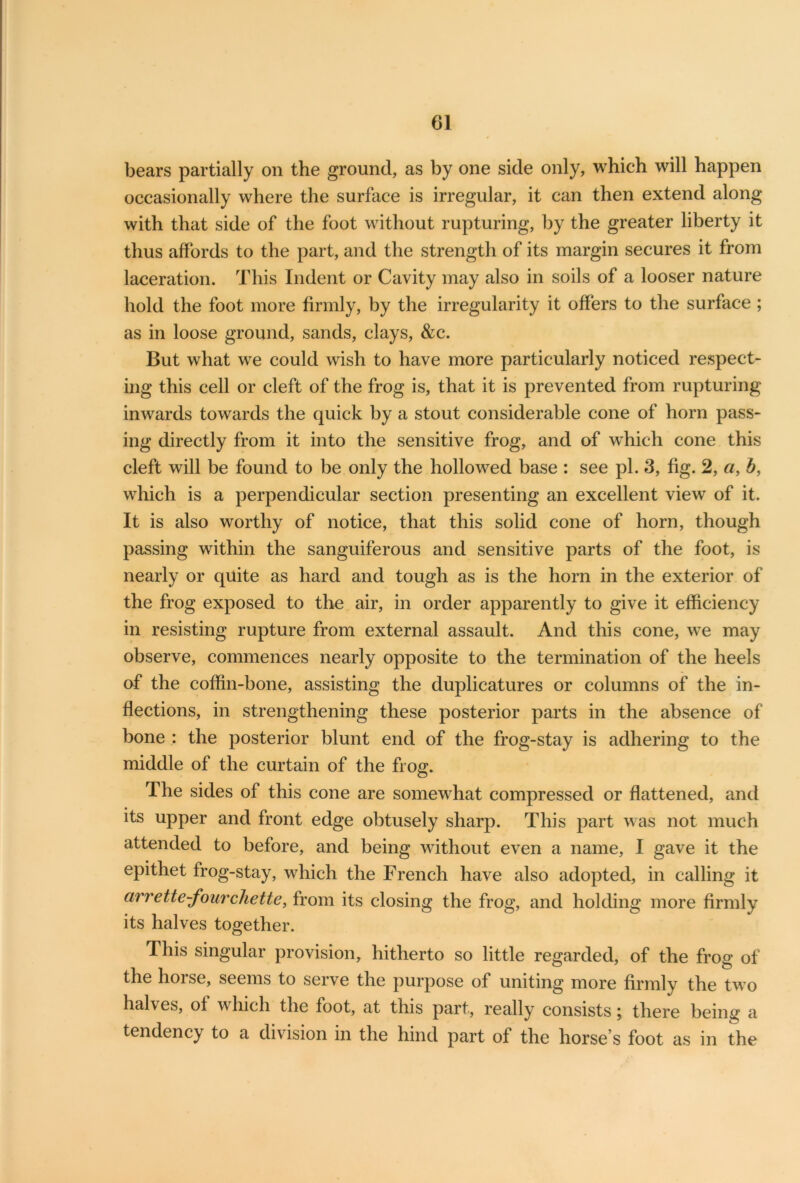 bears partially on the ground, as by one side only, which will happen occasionally where the surface is irregular, it can then extend along with that side of the foot without rupturing, by the greater liberty it thus affords to the part, and the strength of its margin secures it from laceration. This Indent or Cavity may also in soils of a looser nature hold the foot more firmly, by the irregularity it offers to the surface ; as in loose ground, sands, clays, &c. But what we could wish to have more particularly noticed respect- ing this cell or cleft of the frog is, that it is prevented from rupturing inwards towards the quick by a stout considerable cone of horn pass- ing directly from it into the sensitive frog, and of which cone this cleft will be found to be only the hollowed base : see pi. 3, fig. 2, a, 5, which is a perpendicular section presenting an excellent view of it. It is also worthy of notice, that this solid cone of horn, though passing within the sanguiferous and sensitive parts of the foot, is nearly or quite as hard and tough as is the horn in the exterior of the frog exposed to the air, in order apparently to give it efficiency in resisting rupture from external assault. And this cone, we may observe, commences nearly opposite to the termination of the heels of the coffin-bone, assisting the duplicatures or columns of the in- flections, in strengthening these posterior parts in the absence of bone : the posterior blunt end of the frog-stay is adhering to the middle of the curtain of the frog. The sides of this cone are somewhat compressed or flattened, and its upper and front edge obtusely sharp. This part was not much attended to before, and being without even a name, I gave it the epithet frog-stay, which the French have also adopted, in calling it arrette-fourchette, from its closing the frog, and holding more firmly its halves together. This singular provision, hitherto so little regarded, of the frog of the horse, seems to serve the purpose of uniting more firmly the twTo halves, of which the foot, at this part, really consists; there being a tendency to a division in the hind part of the horse’s foot as in the