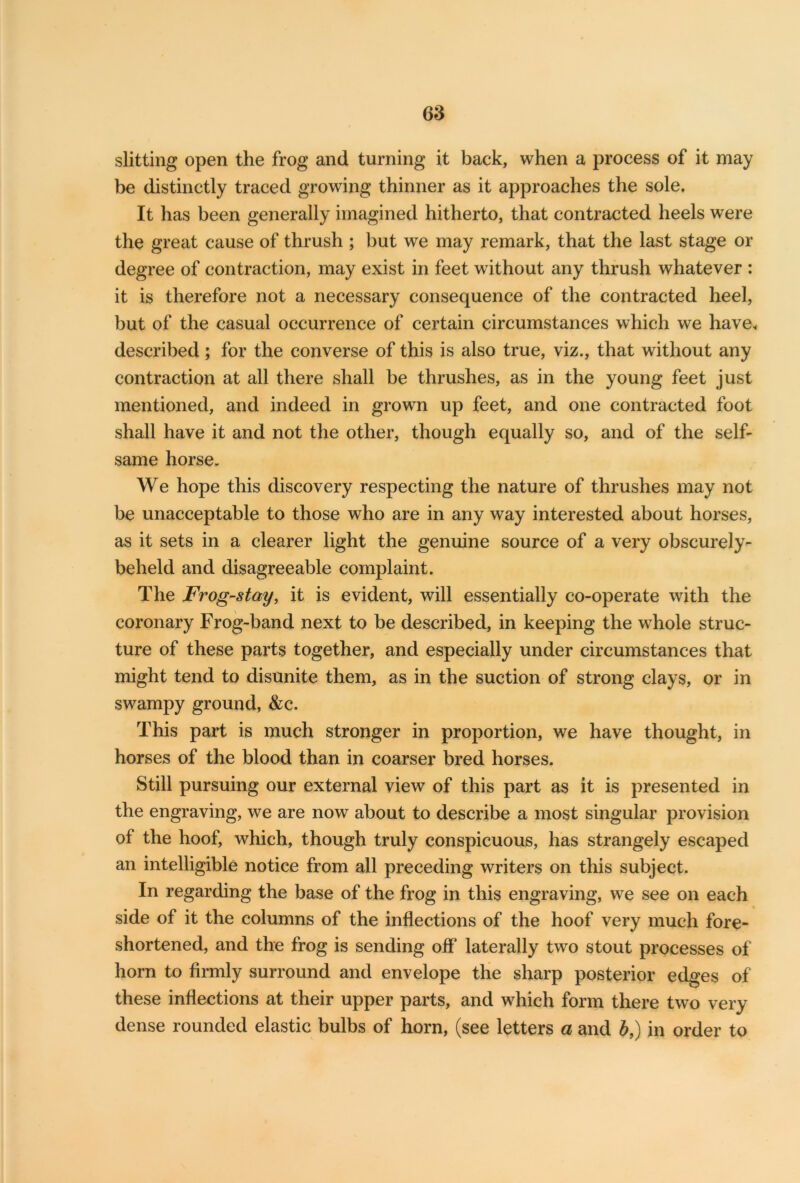 slitting open the frog and turning it back, when a process of it may be distinctly traced growing thinner as it approaches the sole. It has been generally imagined hitherto, that contracted heels were the great cause of thrush ; but we may remark, that the last stage or degree of contraction, may exist in feet without any thrush whatever : it is therefore not a necessary consequence of the contracted heel, but of the casual occurrence of certain circumstances which we have, described; for the converse of this is also true, viz., that without any contraction at all there shall be thrushes, as in the young feet just mentioned, and indeed in grown up feet, and one contracted foot shall have it and not the other, though equally so, and of the self- same horse. We hope this discovery respecting the nature of thrushes may not be unacceptable to those who are in any way interested about horses, as it sets in a clearer light the genuine source of a very obscurely- beheld and disagreeable complaint. The Frog-stay, it is evident, will essentially co-operate with the coronary Frog-band next to be described, in keeping the whole struc- ture of these parts together, and especially under circumstances that might tend to disunite them, as in the suction of strong clays, or in swampy ground, &c. This part is much stronger in proportion, we have thought, in horses of the blood than in coarser bred horses. Still pursuing our external view of this part as it is presented in the engraving, we are now about to describe a most singular provision of the hoof, which, though truly conspicuous, has strangely escaped an intelligible notice from all preceding writers on this subject. In regarding the base of the frog in this engraving, we see on each side of it the columns of the inflections of the hoof very much fore- shortened, and the frog is sending off laterally two stout processes of horn to firmly surround and envelope the sharp posterior edges of these inflections at their upper parts, and which form there two very dense rounded elastic bulbs of horn, (see letters a and b,) in order to