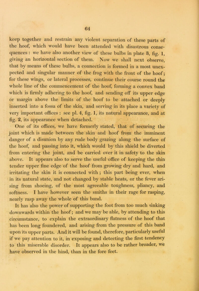 keep together and restrain any violent separation of these parts of the hoof, which would have been attended with disastrous conse- quences : we have also another view of these bulbs in plate 3, fig. 1, giving an horizontal section of them. Now we shall next observe, that by means of these bulbs, a connection is formed in a most unex- pected and singular manner of the frog with the front of the hoof; for these wings, or lateral processes, continue their course round the whole line of the commencement of the hoof, forming a convex band which is firmly adhering to the hoof, and sending off its upper edge or margin above the limits of the hoof to be attached or deeply inserted into a fossa of the skin, and serving in its place a variety of very important offices : see pi. 4, fig. 1, its natural appearance, and at fig. 2, its appearance when detached. One of its offices, we have formerly stated, that of securing the joint which is made between the skin and hoof from the imminent danger of a disunion by any rude body grazing along the surface of the hoof, and passing into it, which would by this shield be diverted from entering the joint, and be carried over it in safety to the skin above. It appears also to serve the useful office of keeping the thin tender upper fine edge of the hoof from growing dry and hard, and irritating the skin it is connected with ; this part being ever, wdien in its natural state, and not changed by stable heats, or the fever ari- sing from shoeing, of the most agreeable toughness, pliancy, and softness. I have however seen the smiths in their rage for rasping, nearly rasp away the whole of this band. It has also the power of supporting the foot from too much sinking downwards within the hoof; and we may be able, by attending to this circumstance, to explain the extraordinary flatness of the hoof that has been long foundered, and arising from the pressure of this band upon its upper parts. And it will be found, therefore, particularly useful if we pay attention to it, in exposing and detecting the first tendency to this miserable disorder. It appears also to be rather broader, we have observed in the hind, than in the fore feet.