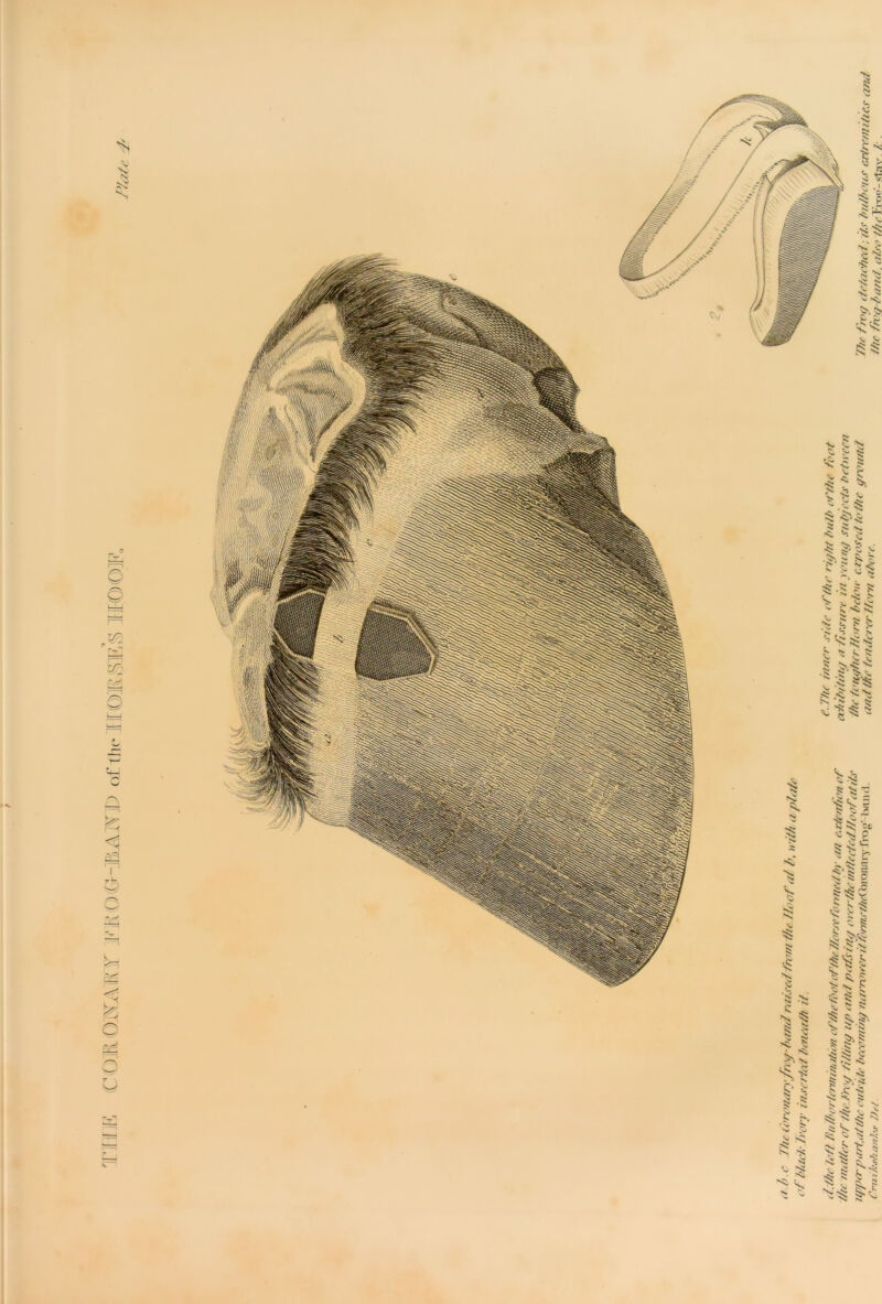 riEK COEvOKAlRvT jKMO(G-]BAK]D of the HOUSES HOOE fc S'fc o' fc; c £ ■^ >. > o t ^ . v. 5* m •* ^ $ |* is S' V * s s Sv !c 9- - Y- < V. > . I 14 V 'Y s s