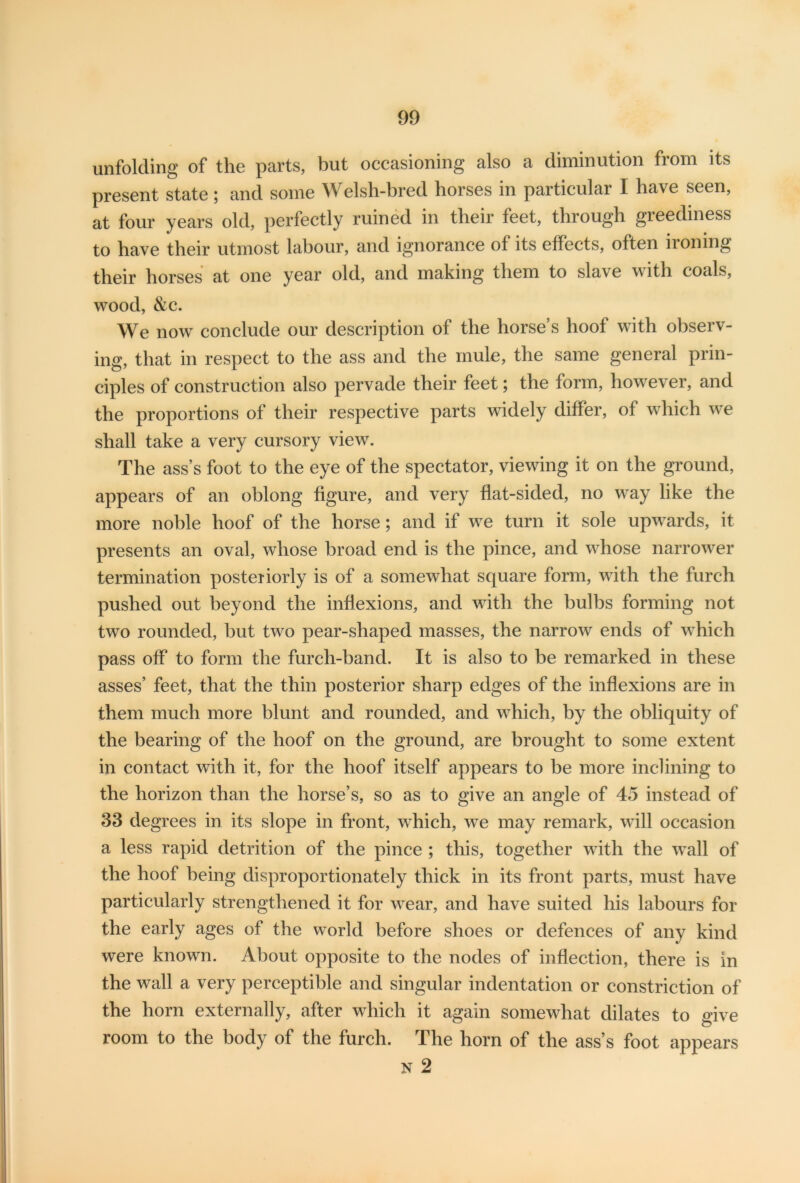 unfolding of the parts, but occasioning also a diminution from its present state; and some Welsh-bred horses in particular I have seen, at four years old, perfectly ruined in their feet, through gieediness to have their utmost labour, and ignorance of its effects, often ironing their horses at one year old, and making them to sla\e with coals, wood, &c. We now conclude our description of the horse’s hoof with observ- ing, that in respect to the ass and the mule, the same general prin- ciples of construction also pervade their feet; the form, however, and the proportions of their respective parts widely differ, of which we shall take a very cursory view. The ass’s foot to the eye of the spectator, viewing it on the ground, appears of an oblong figure, and very flat-sided, no way like the more noble hoof of the horse; and if we turn it sole upwards, it presents an oval, whose broad end is the pince, and whose narrower termination posteriorly is of a somewhat square form, with the furch pushed out beyond the inflexions, and with the bulbs forming not two rounded, but two pear-shaped masses, the narrow ends of which pass off to form the furch-band. It is also to be remarked in these asses’ feet, that the thin posterior sharp edges of the inflexions are in them much more blunt and rounded, and which, by the obliquity of the bearing of the hoof on the ground, are brought to some extent in contact with it, for the hoof itself appears to be more inclining to the horizon than the horse’s, so as to give an angle of 45 instead of 33 degrees in its slope in front, which, we may remark, will occasion a less rapid detrition of the pince ; this, together with the wall of the hoof being disproportionately thick in its front parts, must have particularly strengthened it for wear, and have suited his labours for the early ages of the world before shoes or defences of any kind were known. About opposite to the nodes of inflection, there is in the wall a very perceptible and singular indentation or constriction of the horn externally, after which it again somewhat dilates to give room to the body of the furch. The horn of the ass’s foot appears n 2