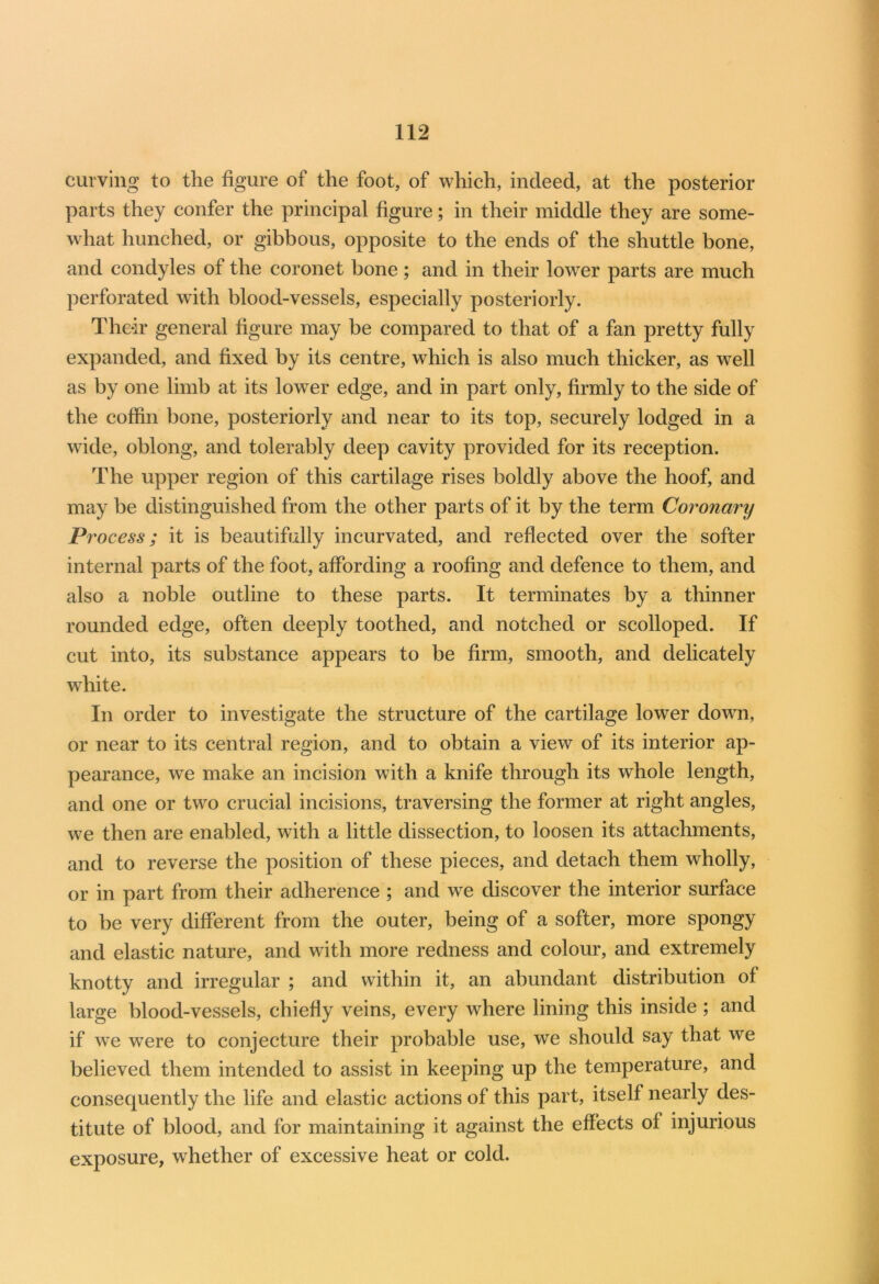 curving to the figure of the foot, of which, indeed, at the posterior parts they confer the principal figure; in their middle they are some- what hunched, or gibbous, opposite to the ends of the shuttle bone, and condyles of the coronet bone; and in their lower parts are much perforated with blood-vessels, especially posteriorly. Their general figure may be compared to that of a fan pretty fully expanded, and fixed by its centre, which is also much thicker, as well as by one limb at its lower edge, and in part only, firmly to the side of the coffin bone, posteriorly and near to its top, securely lodged in a wide, oblong, and tolerably deep cavity provided for its reception. The upper region of this cartilage rises boldly above the hoof, and may be distinguished from the other parts of it by the term Coronary Process; it is beautifully incurvated, and reflected over the softer internal parts of the foot, affording a roofing and defence to them, and also a noble outline to these parts. It terminates by a thinner rounded edge, often deeply toothed, and notched or scolloped. If cut into, its substance appears to be firm, smooth, and delicately white. In order to investigate the structure of the cartilage lower down, or near to its central region, and to obtain a view of its interior ap- pearance, we make an incision with a knife through its whole length, and one or two crucial incisions, traversing the former at right angles, we then are enabled, with a little dissection, to loosen its attachments, and to reverse the position of these pieces, and detach them wholly, or in part from their adherence ; and we discover the interior surface to be very different from the outer, being of a softer, more spongy and elastic nature, and with more redness and colour, and extremely knotty and irregular ; and within it, an abundant distribution of large blood-vessels, chiefly veins, every where lining this inside ; and if we were to conjecture their probable use, we should say that we believed them intended to assist in keeping up the temperature, and consequently the life and elastic actions of this part, itself nearly des- titute of blood, and for maintaining it against the effects of injurious exposure, whether of excessive heat or cold.