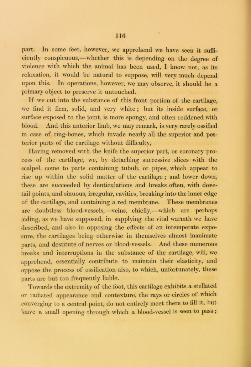 part. In some feet, however, we apprehend we have seen it suffi- ciently conspicuous,—whether this is depending on the degree of violence with which the animal has been used, I know not, as its relaxation, it would be natural to suppose, will very much depend upon this. In operations, however, we may observe, it should be a primary object to preserve it untouched. If we cut into the substance of this front portion of the cartilage, we find it firm, solid, and very white ; but its inside surface, or surface exposed to the joint, is more spongy, and often reddened with blood. And this anterior limb, we may remark, is very rarely ossified in case of ring-bones, which invade nearly all the superior and pos- terior parts of the cartilage without difficulty. Having removed with the knife the superior part, or coronary pro- cess of the cartilage, we, by detaching successive slices with the scalpel, come to parts containing tubuli, or pipes, which appear to rise up within the solid matter of the cartilage ; and lower down, these are succeeded by denticulations and breaks often, with dove- tail points, and sinuous, irregular, cavities, breaking into the inner edge of the cartilage, and containing a red membrane. These membranes are doubtless blood-vessels,—veins, chiefly,—which are perhaps aiding, as we have supposed, in supplying the vital warmth we have described, and also in opposing the effects of an intemperate expo- sure, the cartilages being otherwise in themselves almost inanimate parts, and destitute of nerves or blood-vessels. And these numerous breaks and interruptions in the substance of the cartilage, will, we apprehend, essentially contribute to maintain their elasticity, and oppose the process of ossification also, to which, unfortunately, these parts are but too frequently liable. Towards the extremity of the foot, this cartilage exhibits a stellated or radiated appearance and contexture, the rays or circles of which converging to a central point, do not entirely meet there to fill it, but leave a small opening through which a blood-vessel is seen to pass ;