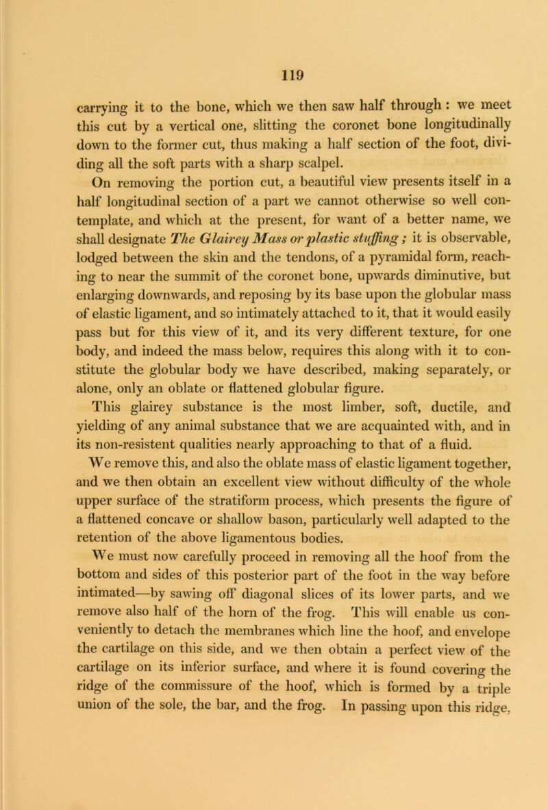 carrying it to the bone, which we then saw half through : we meet this cut by a vertical one, slitting the coronet bone longitudinally down to the former cut, thus making a half section of the foot, divi- ding all the soft parts with a sharp scalpel. On removing the portion cut, a beautiful view presents itself in a half longitudinal section of a part we cannot otherwise so well con- template, and which at the present, for want of a better name, we shall designate The Glair ey Mass or plastic staffing; it is observable, lodged between the skin and the tendons, of a pyramidal form, reach- ing to near the summit of the coronet bone, upwards diminutive, but enlarging downwards, and reposing by its base upon the globular mass of elastic ligament, and so intimately attached to it, that it would easily pass but for this view of it, and its very different texture, for one body, and indeed the mass below, requires this along with it to con- stitute the globular body we have described, making separately, or alone, only an oblate or flattened globular figure. This glairey substance is the most limber, soft, ductile, and yielding of any animal substance that we are acquainted with, and in its non-resistent qualities nearly approaching to that of a fluid. We remove this, and also the oblate mass of elastic ligament together, and we then obtain an excellent view without difficulty of the whole upper surface of the stratiform process, which presents the figure of a flattened concave or shallow bason, particularly well adapted to the retention of the above ligamentous bodies. We must now carefully proceed in removing all the hoof from the bottom and sides of this posterior part of the foot in the way before intimated—by sawing off diagonal slices of its lower parts, and we remove also half of the horn of the frog. This will enable us con- veniently to detach the membranes which line the hoof, and envelope the cartilage on this side, and we then obtain a perfect view of the cartilage on its inferior surface, and where it is found covering the ridge of the commissure of the hoof, which is formed by a triple union of the sole, the bar, and the frog. In passing upon this ridge,