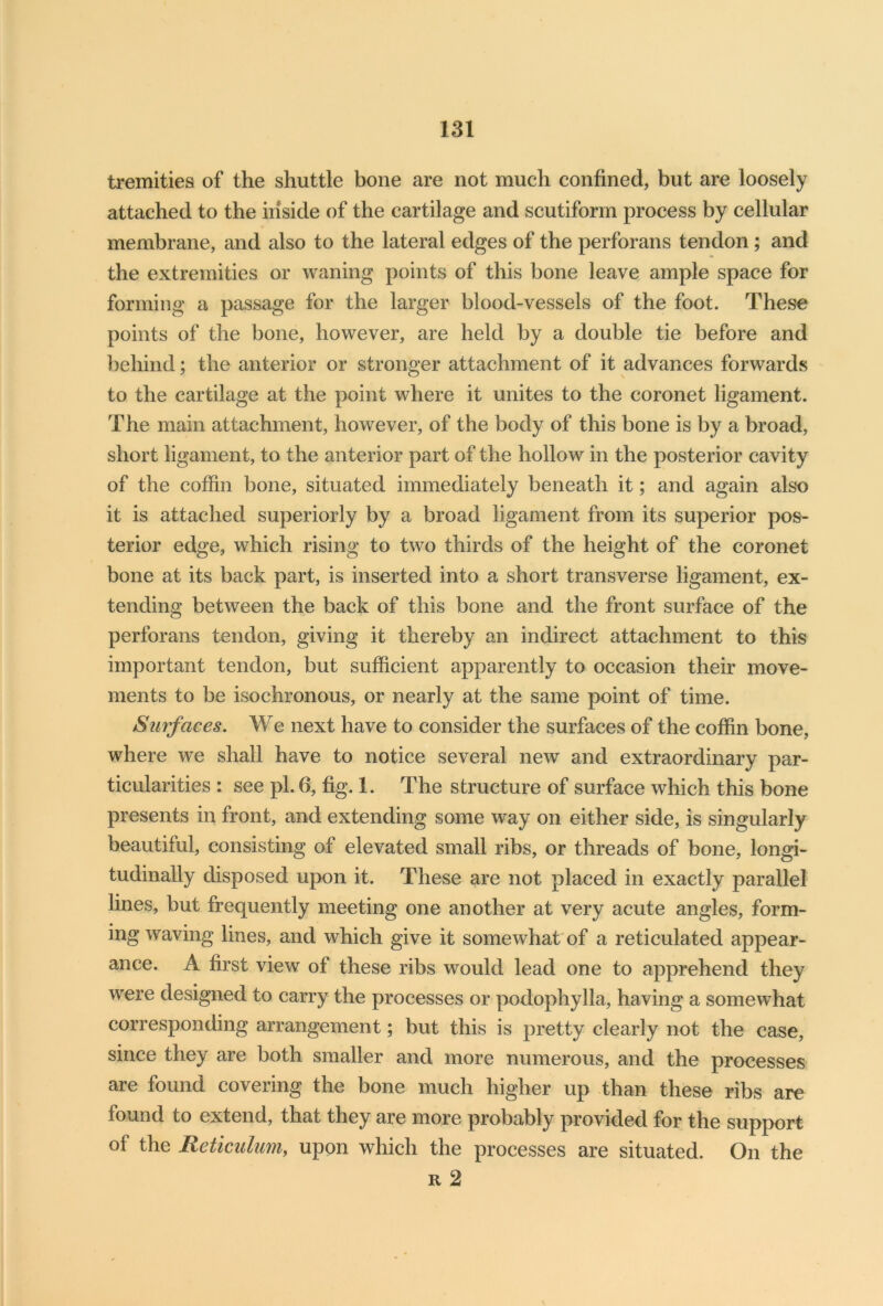 tremities of the shuttle bone are not much confined, but are loosely attached to the inside of the cartilage and scutiform process by cellular membrane, and also to the lateral edges of the perforans tendon ; and the extremities or waning points of this bone leave ample space for forming a passage for the larger blood-vessels of the foot. These points of the bone, however, are held by a double tie before and behind; the anterior or stronger attachment of it advances forwards to the cartilage at the point where it unites to the coronet ligament. The main attachment, however, of the body of this bone is by a broad, short ligament, to the anterior part of the hollow in the posterior cavity of the coffin bone, situated immediately beneath it; and again also it is attached superiorly by a broad ligament from its superior pos- terior edge, which rising to two thirds of the height of the coronet bone at its back part, is inserted into a short transverse ligament, ex- tending between the back of this bone and the front surface of the perforans tendon, giving it thereby an indirect attachment to this important tendon, but sufficient apparently to occasion their move- ments to be isochronous, or nearly at the same point of time. Surfaces. We next have to consider the surfaces of the coffin bone, where we shall have to notice several new and extraordinary par- ticularities : see pi. 6, fig. 1. The structure of surface which this bone presents in front, and extending some way on either side, is singularly beautiful, consisting of elevated small ribs, or threads of bone, longi- tudinally disposed upon it. These are not placed in exactly parallel lines, but frequently meeting one another at very acute angles, form- ing waving lines, and which give it somewhat of a reticulated appear- ance. A first view of these ribs would lead one to apprehend they were designed to carry the processes or podophylla, having a somewhat corresponding arrangement; but this is pretty clearly not the case, since they are both smaller and more numerous, and the processes are found covering the bone much higher up than these ribs are found to extend, that they are more probably provided for the support of the Reticulum, upon which the processes are situated. On the r 2