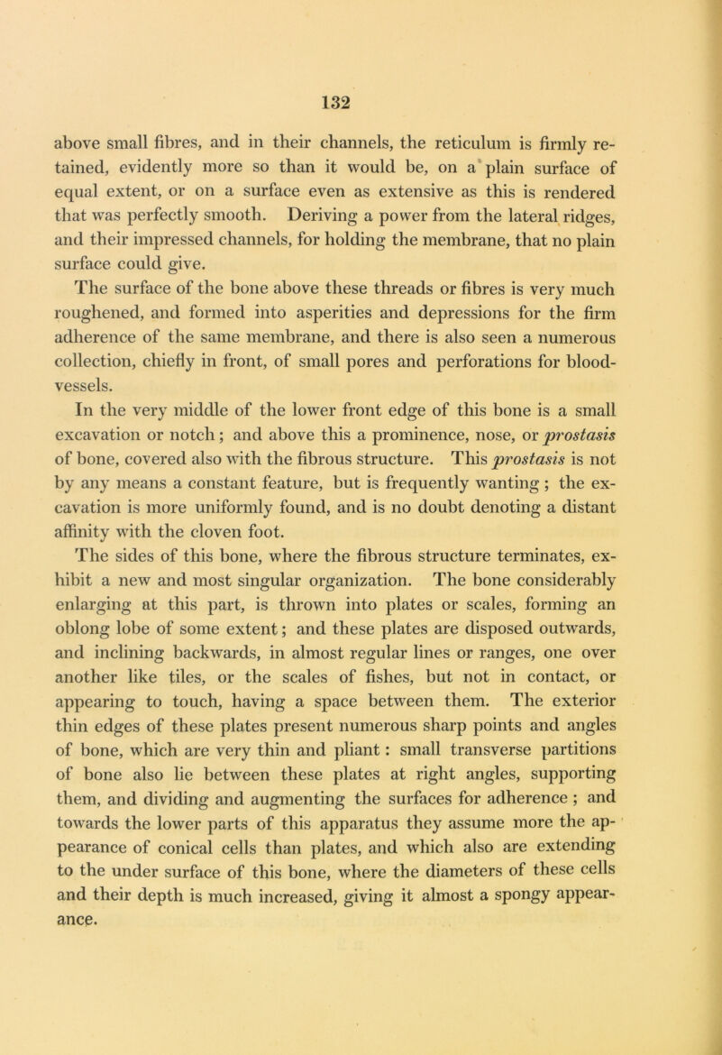above small fibres, and in their channels, the reticulum is firmly re- tained, evidently more so than it would be, on a plain surface of equal extent, or on a surface even as extensive as this is rendered that was perfectly smooth. Deriving a power from the lateral ridges, and their impressed channels, for holding the membrane, that no plain surface could give. The surface of the bone above these threads or fibres is very much roughened, and formed into asperities and depressions for the firm adherence of the same membrane, and there is also seen a numerous collection, chiefly in front, of small pores and perforations for blood- vessels. In the very middle of the lower front edge of this bone is a small excavation or notch; and above this a prominence, nose, or prostasis of bone, covered also with the fibrous structure. This prostasis is not by any means a constant feature, but is frequently wanting; the ex- cavation is more uniformly found, and is no doubt denoting a distant affinity with the cloven foot. The sides of this bone, where the fibrous structure terminates, ex- hibit a new and most singular organization. The bone considerably enlarging at this part, is thrown into plates or scales, forming an oblong lobe of some extent; and these plates are disposed outwards, and inclining backwards, in almost regular lines or ranges, one over another like tiles, or the scales of fishes, but not in contact, or appearing to touch, having a space between them. The exterior thin edges of these plates present numerous sharp points and angles of bone, which are very thin and pliant: small transverse partitions of bone also lie between these plates at right angles, supporting them, and dividing and augmenting the surfaces for adherence ; and towards the lower parts of this apparatus they assume more the ap- pearance of conical cells than plates, and which also are extending to the under surface of this bone, where the diameters of these cells and their depth is much increased, giving it almost a spongy appear- ance.