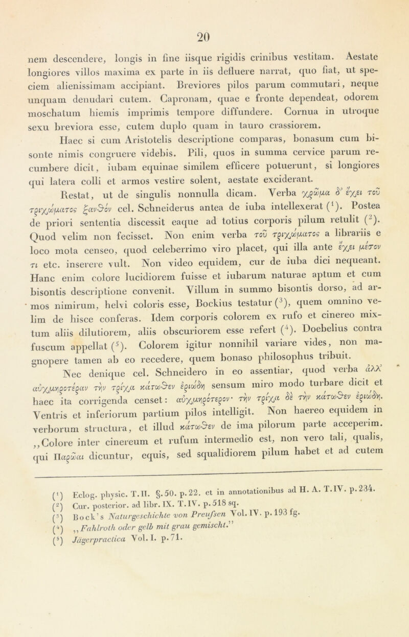 nem descendere, longis in fine iisque rigidis crinibus vestitam. Aestate longiores villos maxima ex parte in iis defluere narrat, quo fiat, ut spe- ciem alienissimam accipiant. Breviores pilos parum commutari, neque unquam denudari cutem. Gapronam, quae e fronte dependeat, odorem moschatum hiemis imprimis tempore diffundere. Cornua in utroque sexu breviora esse, cutem duplo quam in tauro crassiorem. Haec si cum Aristotelis descriptione comparas, bonasum cum bi- sonte nimis congruere videbis. Pili, quos in summa cervice parum re- cumbere dicit, iubam equinae similem efficere potuerunt, si longiores qui latera colli et armos vestire solent, aestate exciderant. Restat, ut de singulis nonnulla dicam. Verba <5^'£%£i rcv T^i^wjuccTog ^ccv3'ov cel. Scbneiderus antea de iuba intellexerat ( ). Postea de priori sententia discessit eaque ad totius corporis pilum retulit (*'). Quod velim non fecisset. Non enim verba tov T^i'XjU)fj,aTog a libiaiiis e loco mota censeo, quod celeberrimo viro placet, qui illa ante 6%ei fj,ercv ri etc. inserere vult. Non video equidem, cur de iuba dici nequeant. Plane enim colore lucidiorem fuisse et iubarum naturae aptum et cum bisontis descriptione convenit. Villum in summo bisontis dorso, ad ar- ■ mos nimirum, helvi coloris esse^ Bockius testatur ( ), quem omnino ve lim de hisce conferas. Idem corporis colorem ex rufo et cinereo mix- tum aliis dilutiorem, aliis obscuriorem esse refert (^). Doebelius contra fuscum appellat (^). Colorem igitur nonnihil variare vides, non ma- gnopere tamen ab eo recedere, quem bonaso philosophus tribuit. Nec denique cel. Schneidero in eo assentiar, quod verba «AA r^f%a Karu)3ev sensum miro modo^ turbare dicit^ et haec ita corrigenda censet: r^l%cc tV Ventris et inferiorum partium pilos intelligit. Non haereo equidem in verborum structura, et illud de ima pilorum parte acceperim. ,, Colore inter cinereum et rufum intermedio est, non vero tali, qualis, qui Ua^Zea dicuntur, equis, sed squalidiorem pilum habet et ad cutem (‘) Fxlog. physlc. T.IT. §.50. p.22. et in annotationibus ad H. A. T.IV. p.234 Cur. posterior, ad libr. IX. l.IV. p.518sq. (3^ Boek’s Natiirgeschichle von Preufsen Yol. lY. p. 193 fg. (^) ,, Fahlrolh oclcr gelb mit grau gemischt.'’ Jcigerpradica Yol. I. p.71*