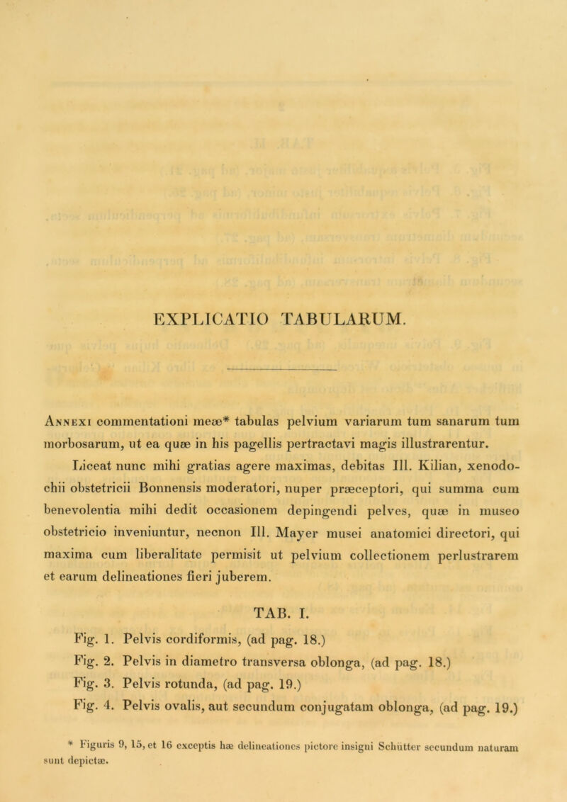 EXPLICATIO TABULARUM. Annexi commentationi meae* tabulas pelvium variarum tum sanarum tum morbosarum, ut ea quee in bis pagellis pertractavi magis illustrarentur. Liceat nunc mihi gratias agere maximas, debitas 111. Kilian, xenodo- chii obstetricii Bonnensis moderatori, nuper praeceptori, qui summa cum benevolentia mihi dedit occasionem depingendi pelves, quae in museo obstetricio inveniuntur, necnon 111. Mayer musei anatomici directori, qui maxima cum liberalitate permisit ut pelvium collectionem perlustrarem et earum delineationes fieri juberem. TAB. I. Fig. 1. Pelvis cordiformis, (ad pag. 18.) Fig. 2. Pelvis in diametro transversa oblonga, (ad pag. 18.) Fig. 3. Pelvis rotunda, (ad pag. 19.) Fig. 4. Pelvis ovalis, aut secundum conjugatam oblonga, (ad pag. 19.) * Figuris 9, 15, et 16 exceptis hae delineationes pictore insigni Schiitter secundum naturam sunt depictae.