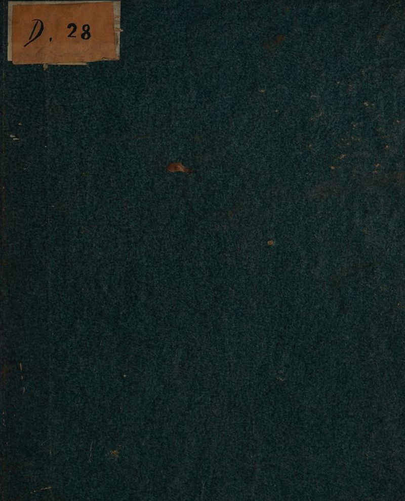 0 #« Ir * % rn. r- v 4 ib } \ > Pd