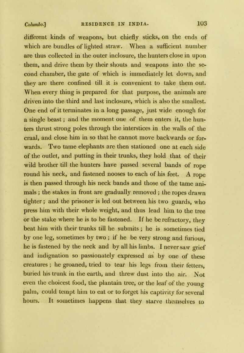 different kinds of weapons, but chiefly sticks, on the ends of which are bundles of lighted straw. When a sufficient number are thus collected in the outer inclosure, the hunters close in upon them, and drive them by their shouts and weapons into the se- cond chamber, the gate of which is immediately let down, and they are there confined till it is convenient to take them out. When every thing is prepared for that purpose, the animals are driven into the third and last inclosure, which is also the smallest. One end of it terminates in a long passage, just wide enough for a single beast; and the moment one of them enters it, the hun- ters thrust strong poles through the interstices in the walls of the craal, and close him in so that he cannot move backwards or for- wards. Two tame elephants are then stationed one at each side of the outlet, and putting in their trunks, they hold that of their wild brother till the hunters have passed several bands of rope round his neck, and fastened nooses to each of his feet. A rope is then passed through his neck bands and those of the tame ani- mals ; the stakes in front are gradually removed ; the ropes drawn tighter; and the prisoner is led out between his two guards, who press him with their whole weight, and thus lead him to the tree or the stake where he is to be fastened. If he be refractory, they beat him with their trunks till he submits ; he is sometimes tied by one leg, sometimes by two; if he be very strong and furious, he is fastened by the neck and by all his limbs. I never saw grief and indignation so passionately expressed as by one of these creatures ; he groaned, tried to tear his legs from their fetters, buried his trunk in the earth, and threw dust into the air. Not even the choicest food, the plantain tree, or the leaf of the young palm, could tempt him to eat or to forget his captivity for several hours. It sometimes happens that they starve themselves to