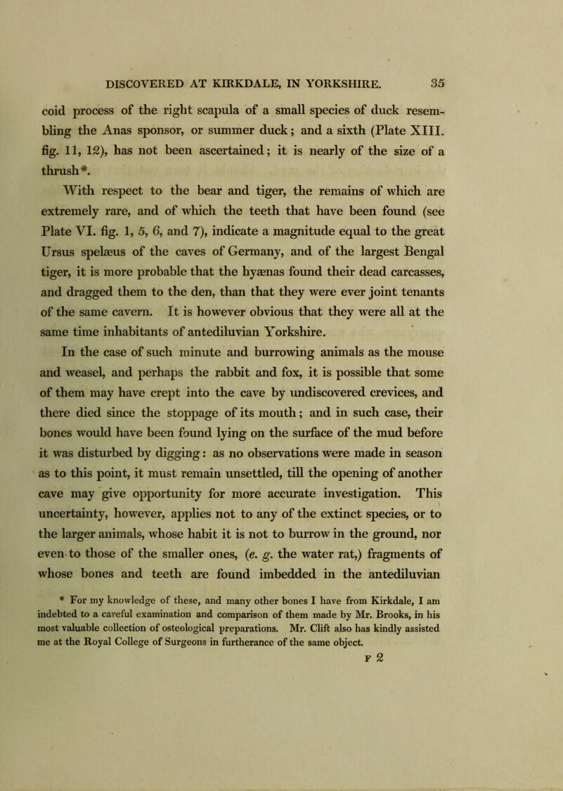 coid process of the right scapula of a small species of duck resem- bling the Anas sponsor, or summer duck; and a sixth (Plate XIII. fig. 11, 12), has not been ascertained; it is nearly of the size of a thrush*. With respect to the bear and tiger, the remains of which are extremely rare, and of which the teeth that have been found (see Plate VI. fig. 1, 5, 6, and 7), indicate a magnitude equal to the great Ursus spelaeus of the caves of Germany, and of the largest Bengal tiger, it is more probable that the hyaenas found their dead carcasses, and dragged them to the den, than that they were ever joint tenants of the same cavern. It is however obvious that they were all at the same time inhabitants of antediluvian Yorkshire. In the case of such minute and burrowing animals as the mouse and weasel, and perhaps the rabbit and fox, it is possible that some of them may have crept into the cave by undiscovered crevices, and there died since the stoppage of its mouth; and in such case, their bones would have been found lying on the surface of the mud before it was disturbed by digging: as no observations were made in season as to this point, it must remain unsettled, till the opening of another cave may give opportunity for more accurate investigation. This uncertainty, however, applies not to any of the extinct species, or to the larger animals, whose habit it is not to burrow in the ground, nor even to those of the smaller ones, (e. g. the water rat,) fragments of whose bones and teeth are found imbedded in the antediluvian * For my knowledge of these, and many other bones I have from Kirkdale, I am indebted to a careful examination and comparison of them made by Mr. Brooks, in his most valuable collection of osteological preparations. Mr. Clift also has kindly assisted me at the Royal College of Surgeons in furtherance of the same object. F 2