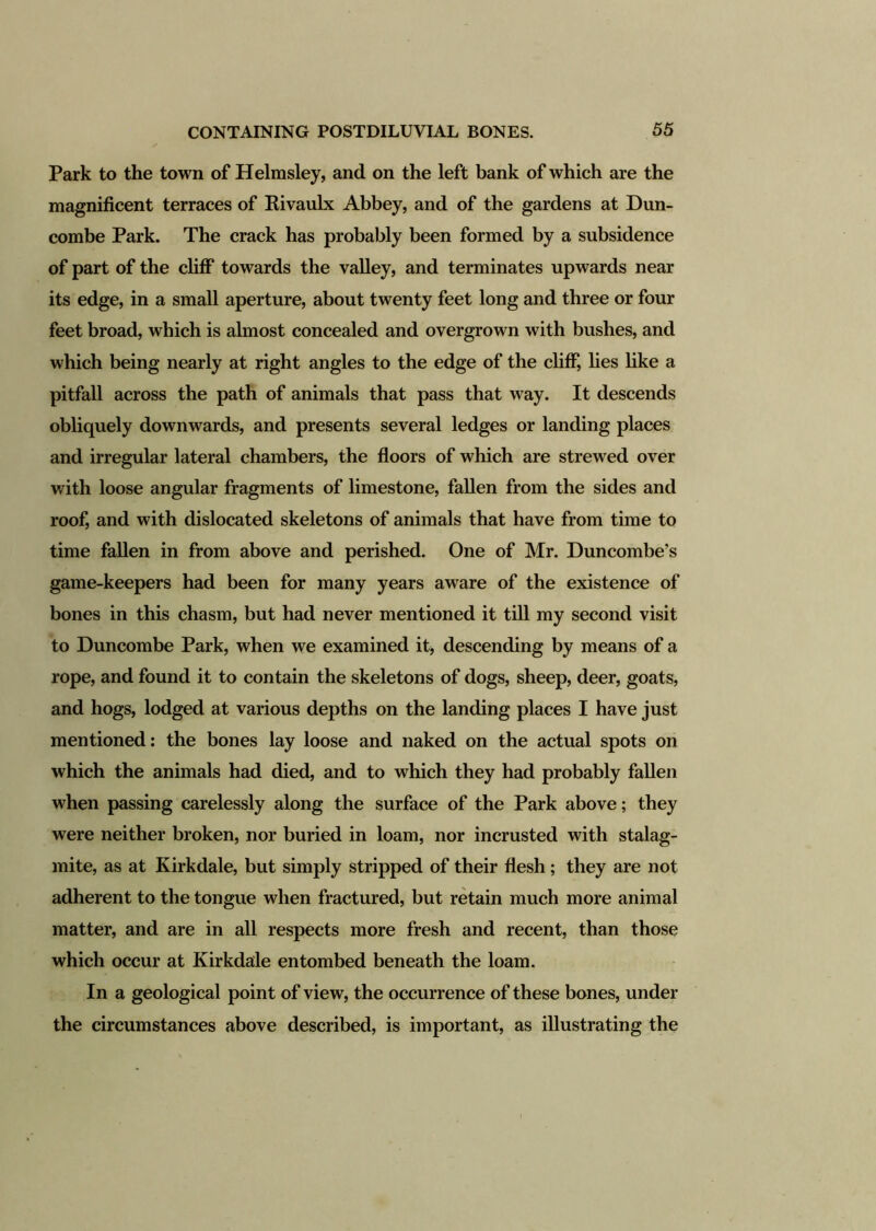 Park to the town of Helmsley, and on the left bank of which are the magnificent terraces of Rivaulx Abbey, and of the gardens at Dun- combe Park. The crack has probably been formed by a subsidence of part of the cliff towards the valley, and terminates upwards near its edge, in a small aperture, about twenty feet long and three or four feet broad, which is almost concealed and overgrown with bushes, and which being nearly at right angles to the edge of the cliff, lies like a pitfall across the path of animals that pass that way. It descends obliquely downwards, and presents several ledges or landing places and irregular lateral chambers, the floors of which are strewed over with loose angular fragments of limestone, fallen from the sides and roof, and with dislocated skeletons of animals that have from time to time fallen in from above and perished. One of Mr. Duncombe’s game-keepers had been for many years aware of the existence of bones in this chasm, but had never mentioned it till my second visit to Duncombe Park, when we examined it, descending by means of a rope, and found it to contain the skeletons of dogs, sheep, deer, goats, and hogs, lodged at various depths on the landing places I have just mentioned: the bones lay loose and naked on the actual spots on which the animals had died, and to which they had probably fallen when passing carelessly along the surface of the Park above; they were neither broken, nor buried in loam, nor incrusted with stalag- mite, as at Kirkdale, but simply stripped of their flesh ; they are not adherent to the tongue when fractured, but retain much more animal matter, and are in all respects more fresh and recent, than those which occur at Kirkdale entombed beneath the loam. In a geological point of view, the occurrence of these bones, under the circumstances above described, is important, as illustrating the