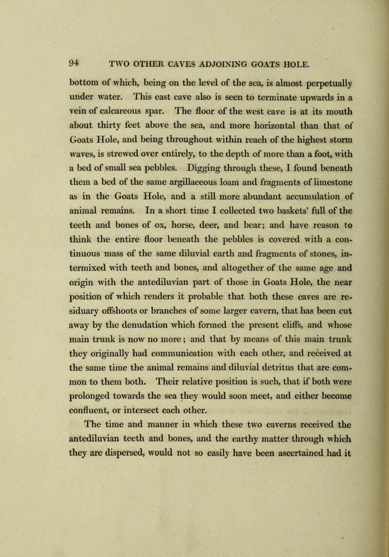 bottom of which, being on the level of the sea, is almost perpetually under water. This east cave also is seen to terminate upwards in a vein of calcareous spar. The floor of the west cave is at its mouth about thirty feet above the sea, and more horizontal than that of Goats Hole, and being throughout within reach of the highest storm waves, is strewed over entirely, to the depth of more than a foot, with a bed of small sea pebbles. Digging through these, I found beneath them a bed of the same argillaceous loam and fragments of limestone as in the Goats Hole, and a still more abundant accumulation of animal remains. In a short time I collected two baskets’ full of the teeth and bones of ox, horse, deer, and bear; and have reason to think the entire floor beneath the pebbles is covered with a con- tinuous mass of the same diluvial earth and fragments of stones, in- termixed with teeth and bones, and altogether of the same age and origin with the antediluvian part of those in Goats Hole, the near position of which renders it probable that both these caves are re- siduary offshoots or branches of some larger cavern, that has been cut away by the denudation which formed the present cliffs, and whose main trunk is now no more; and that by means of this main trunk they originally had communication with each other, and received at the same time the animal remains and diluvial detritus that are com- mon to them both. Their relative position is such, that if both were prolonged towards the sea they would soon meet, and either become confluent, or intersect each other. The time and manner in which these two caverns received the antediluvian teeth and bones, and the earthy matter through which they are dispersed, would not so easily have been ascertained had it